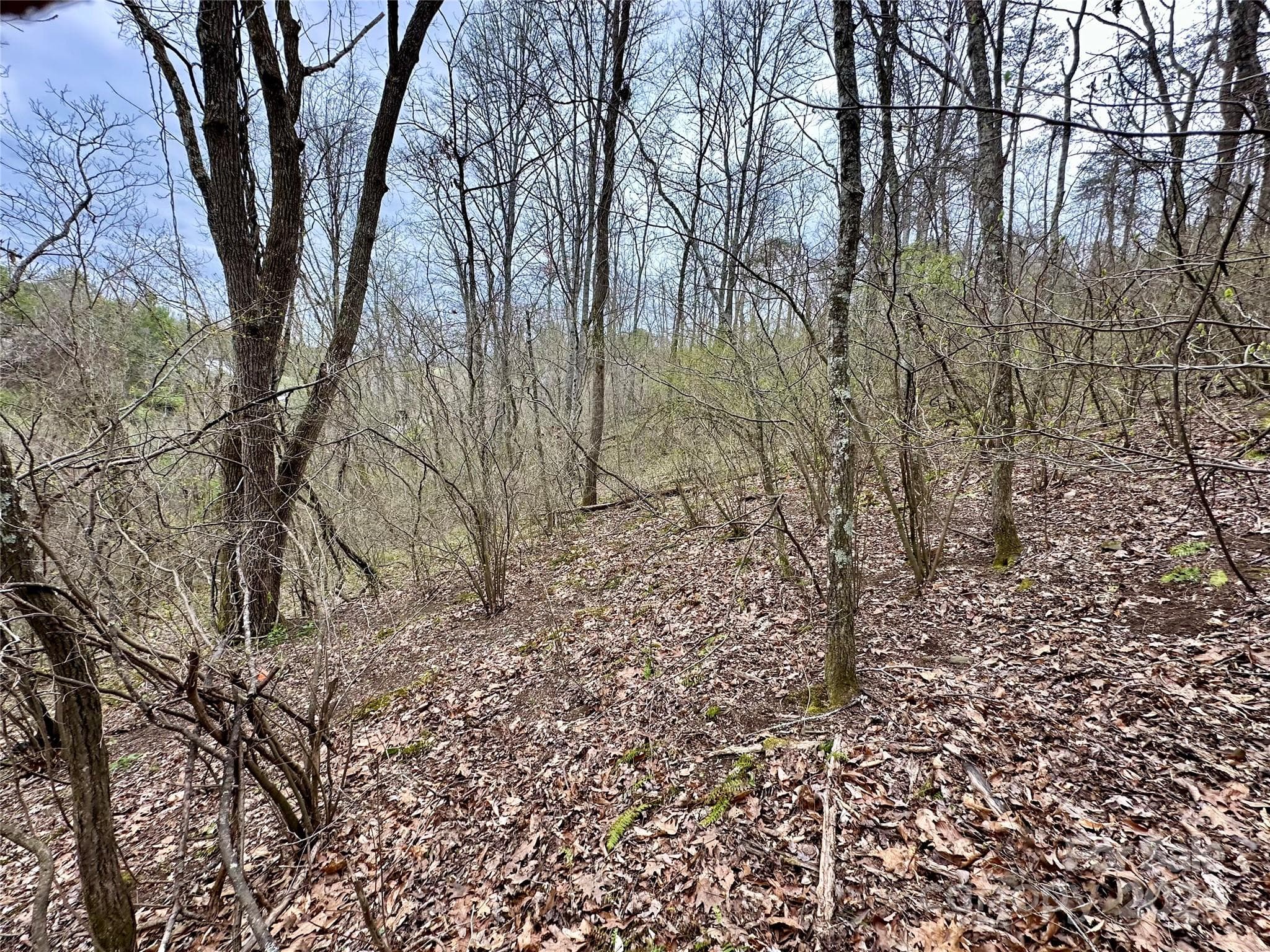 Lot at 000 Fletcher Martin Road, Alexander, photo 26 of 35