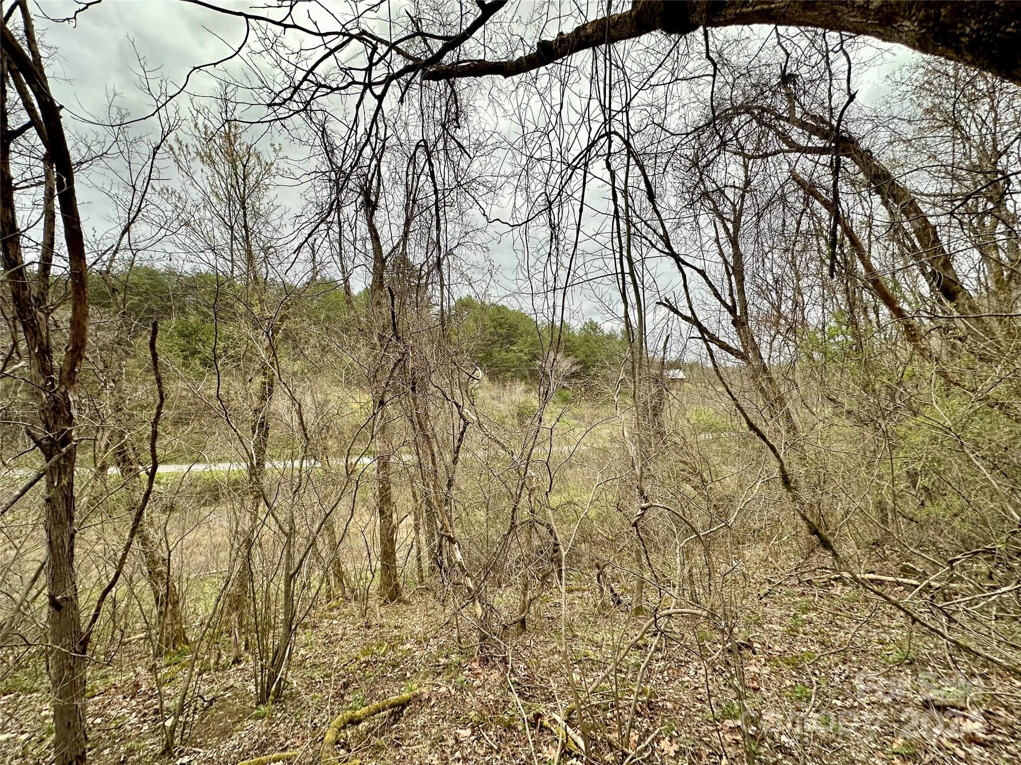 Lot at 000 Fletcher Martin Road, Alexander, photo 29 of 35