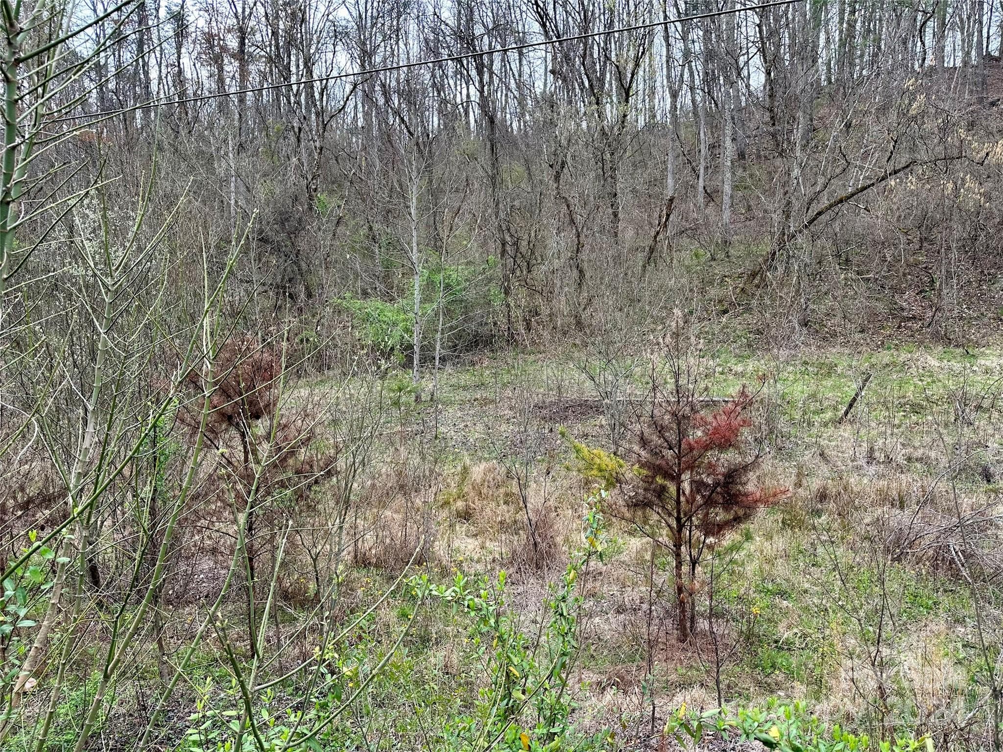 Lot at 000 Fletcher Martin Road, Alexander, photo 32 of 35