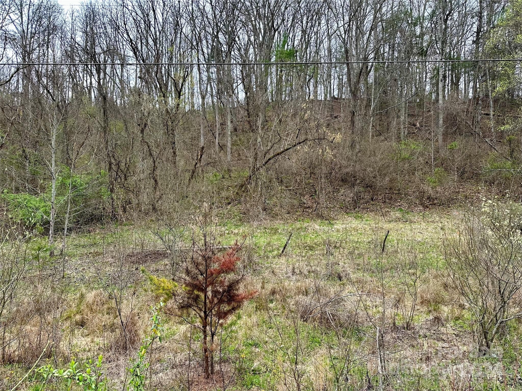 Lot at 000 Fletcher Martin Road, Alexander, photo 34 of 35