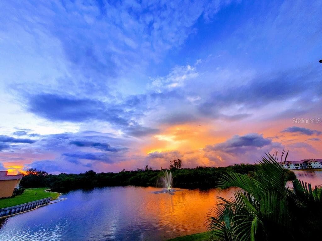 Sunrise over the lagoon. - 47A BAYVIEW CT S, ST PETERSBURG