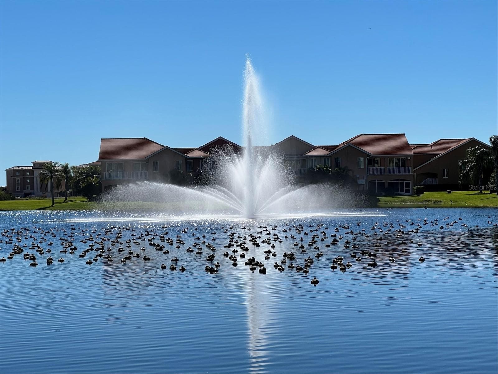 Main fountain at Marina Bay with participating guests. - 47A BAYVIEW CT S, ST PETERSBURG