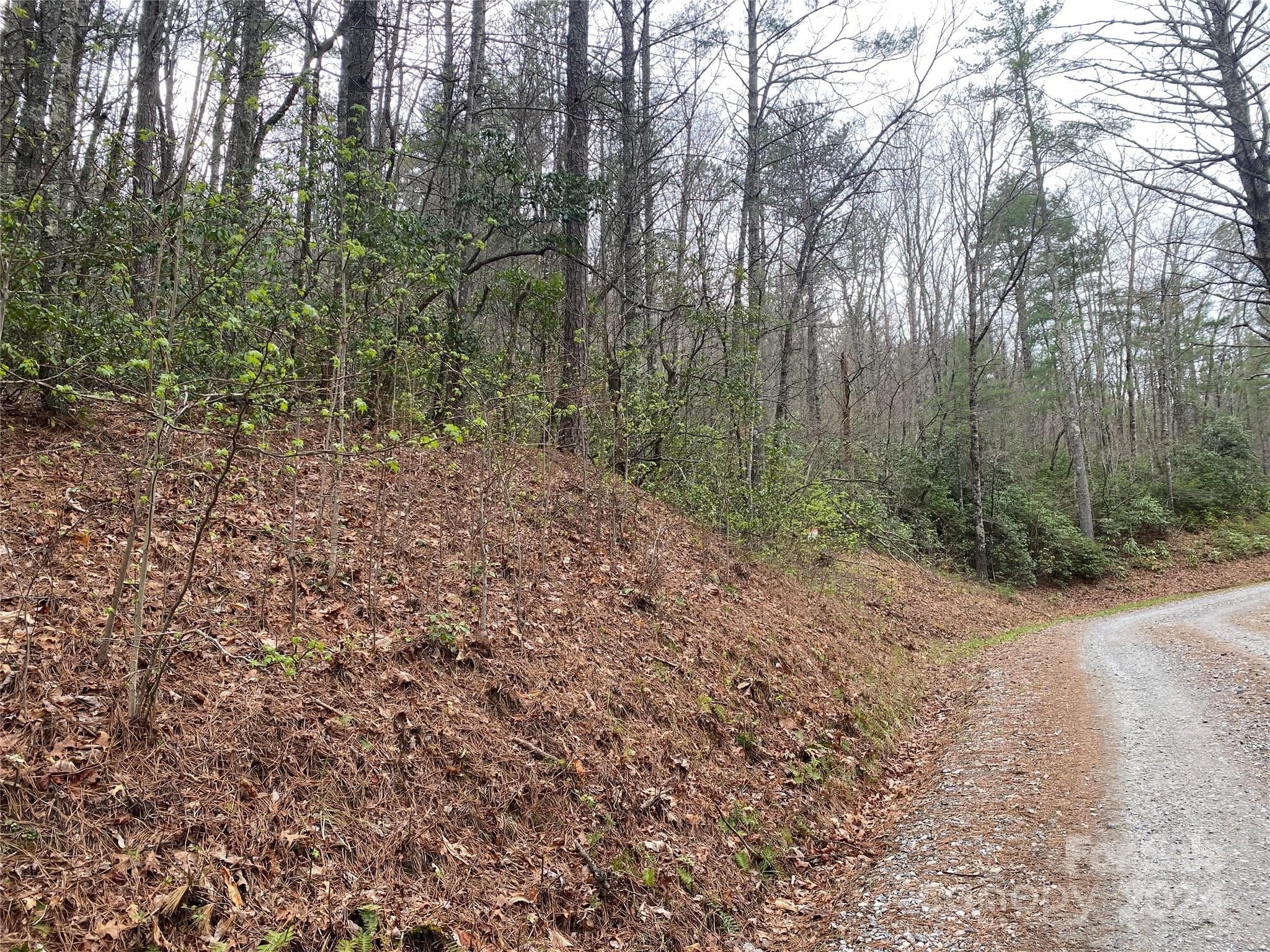 Lot at Lot 11 Fox Ridge Trail, Marion, photo 5 of 12
