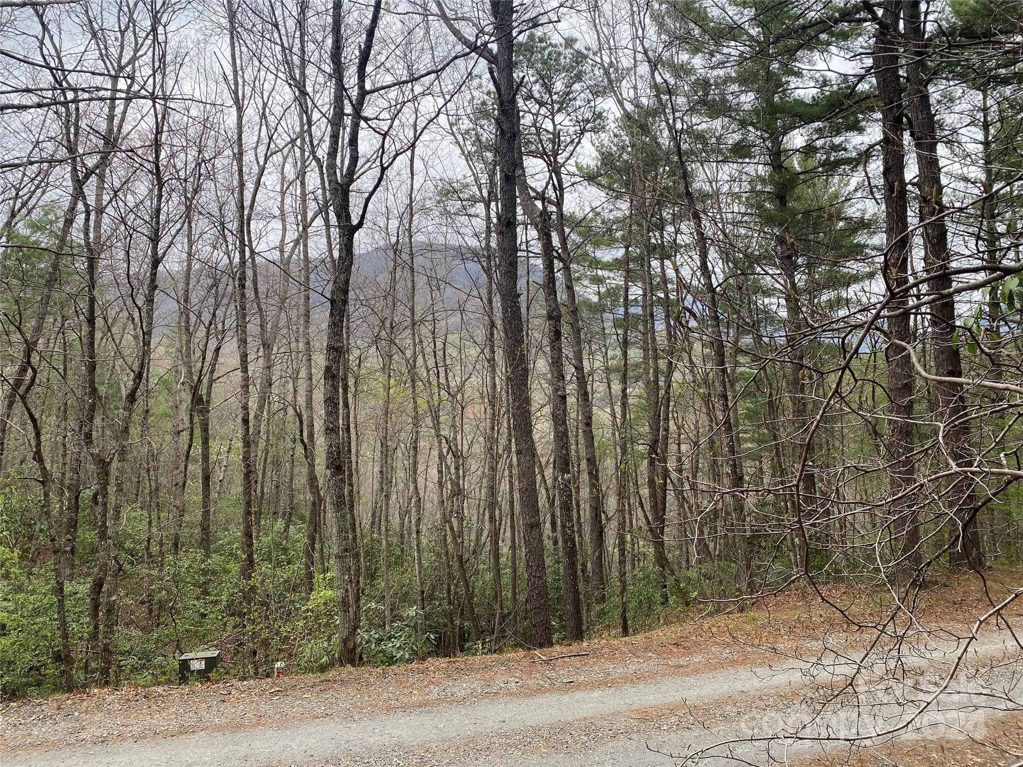 Mountain views from lot.... - Lot 11 Fox Ridge Trail, Marion