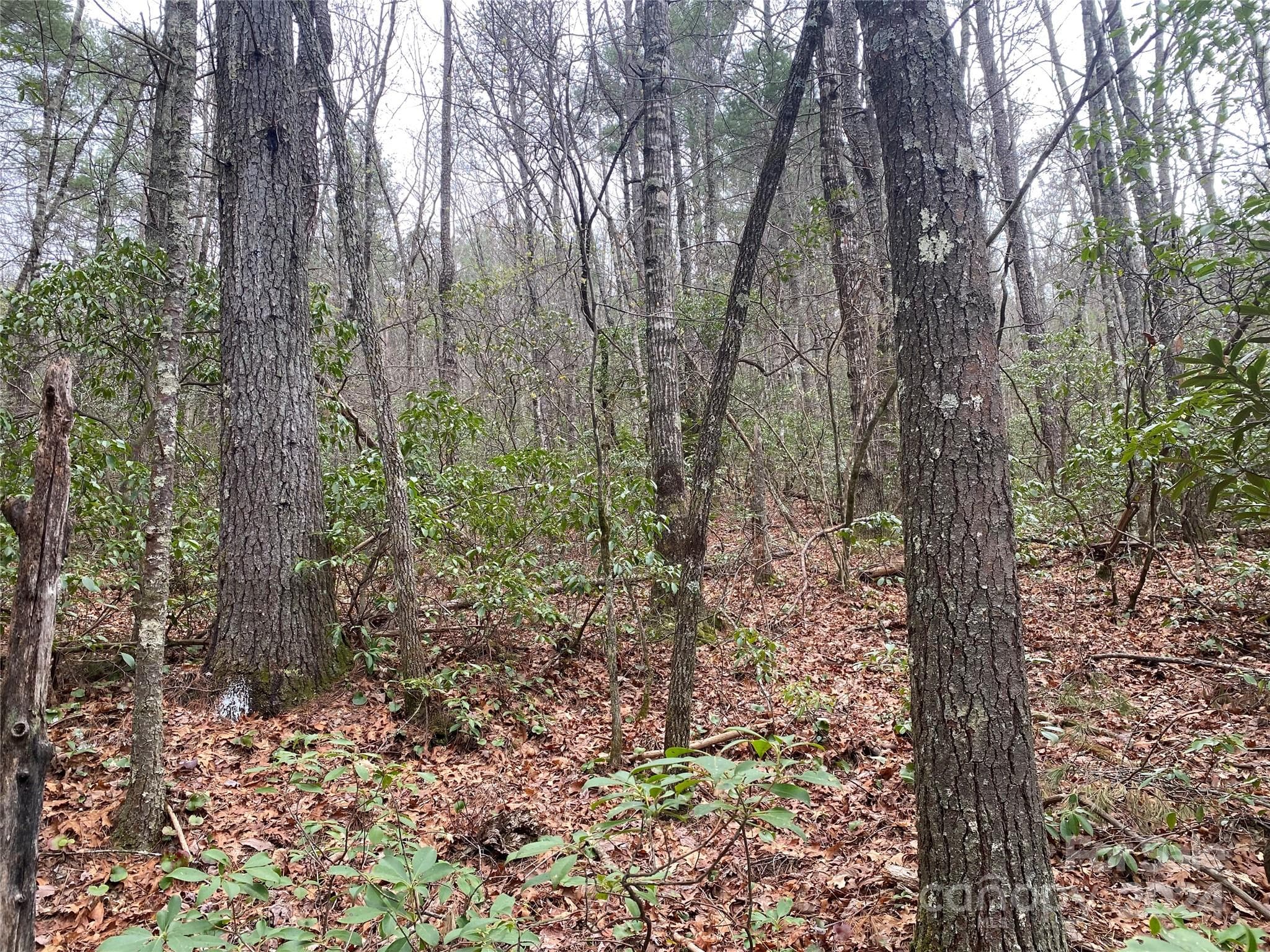 Lot at Lot 11 Fox Ridge Trail, Marion, photo 7 of 12