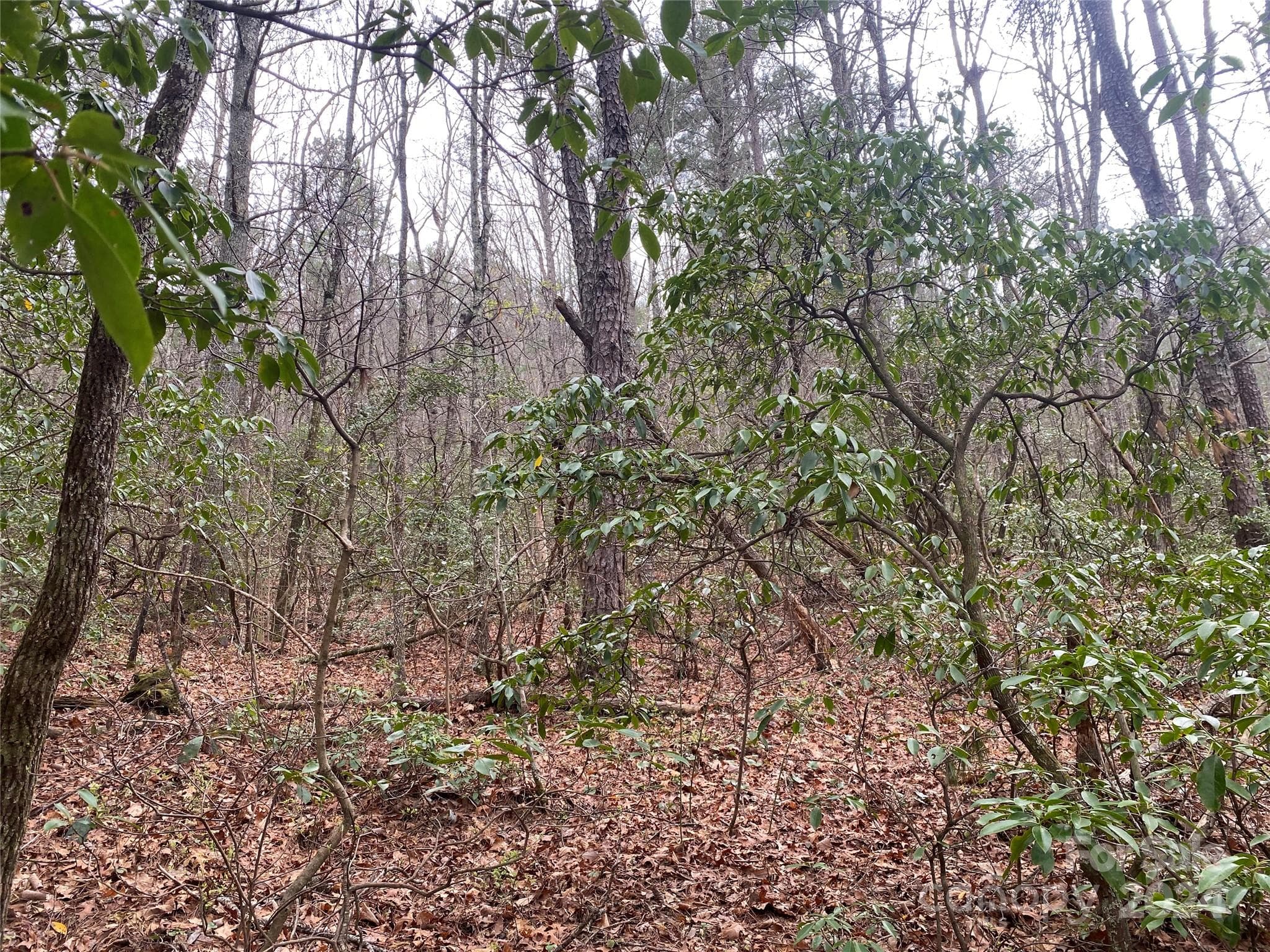 Lot at Lot 11 Fox Ridge Trail, Marion, photo 8 of 12