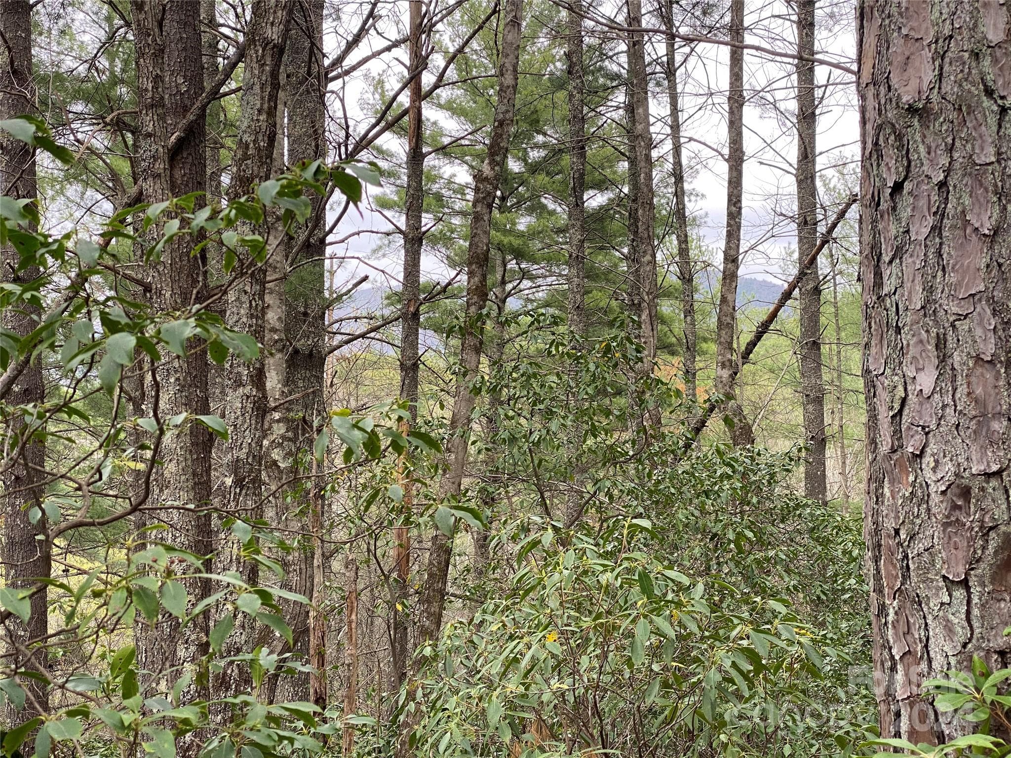 Lot at Lot 11 Fox Ridge Trail, Marion, photo 9 of 12