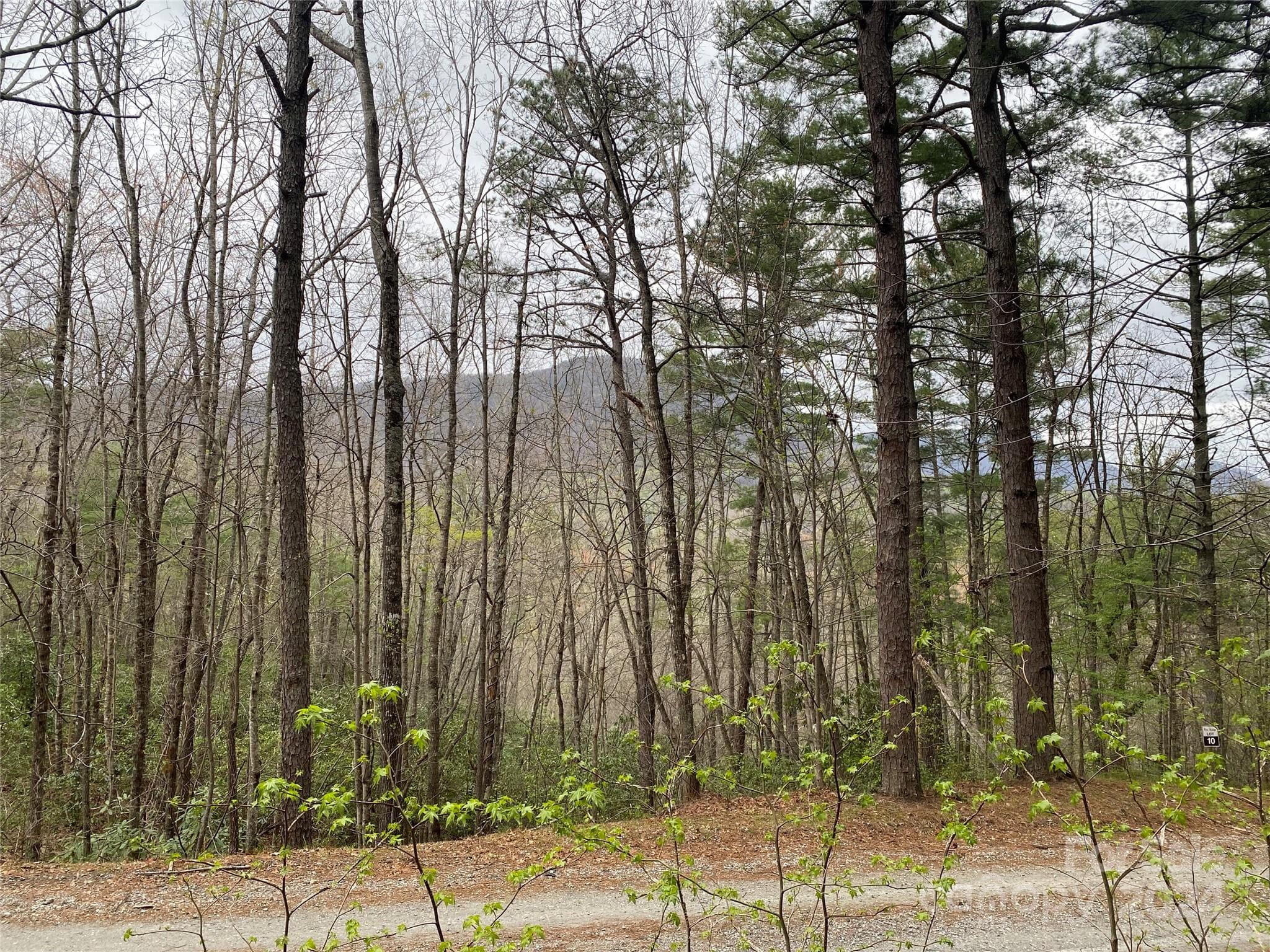 Lot at Lot 11 Fox Ridge Trail, Marion, photo 10 of 12
