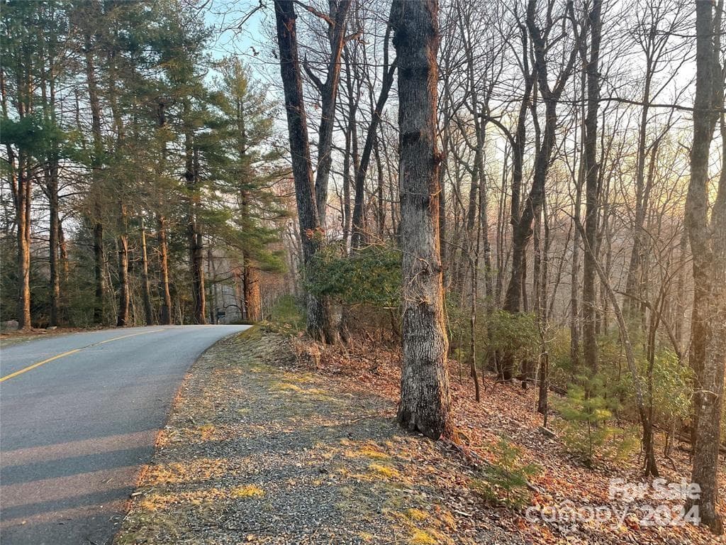 Lot at Brevard, photo 2 of 5