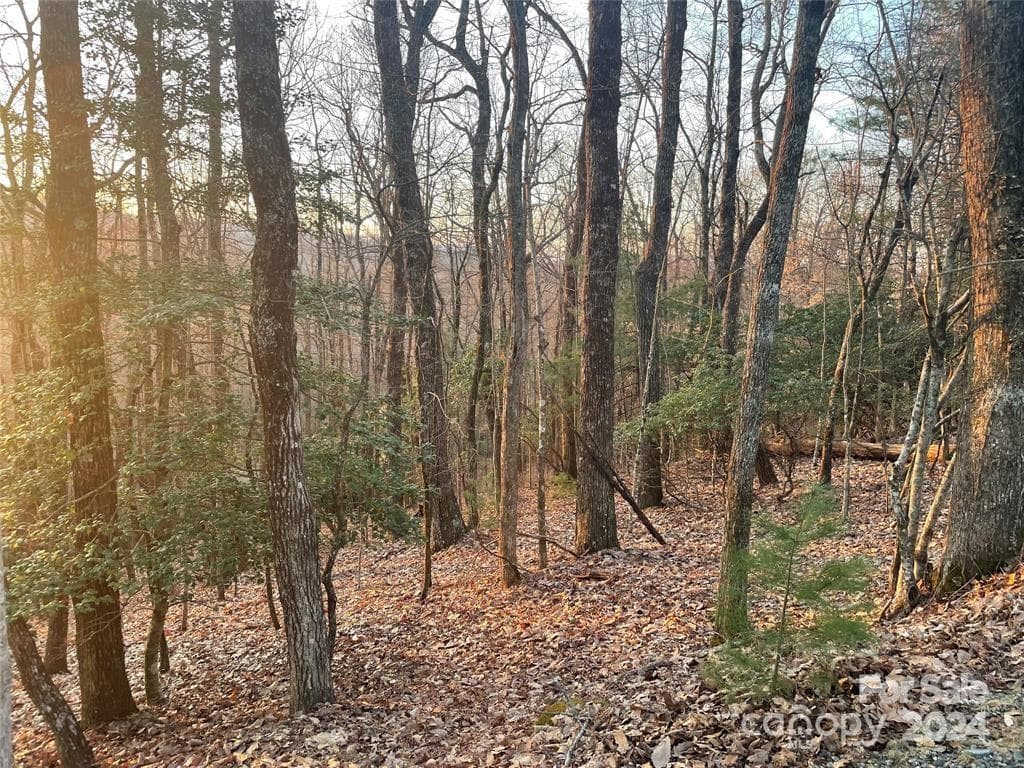 Lot at Brevard, photo 3 of 5