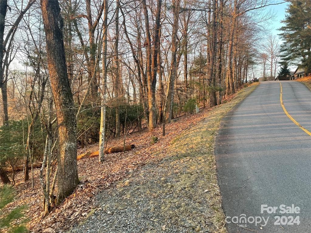 Lot at Brevard, photo 4 of 5