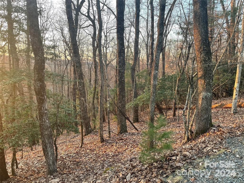Lot at Brevard, photo 5 of 5