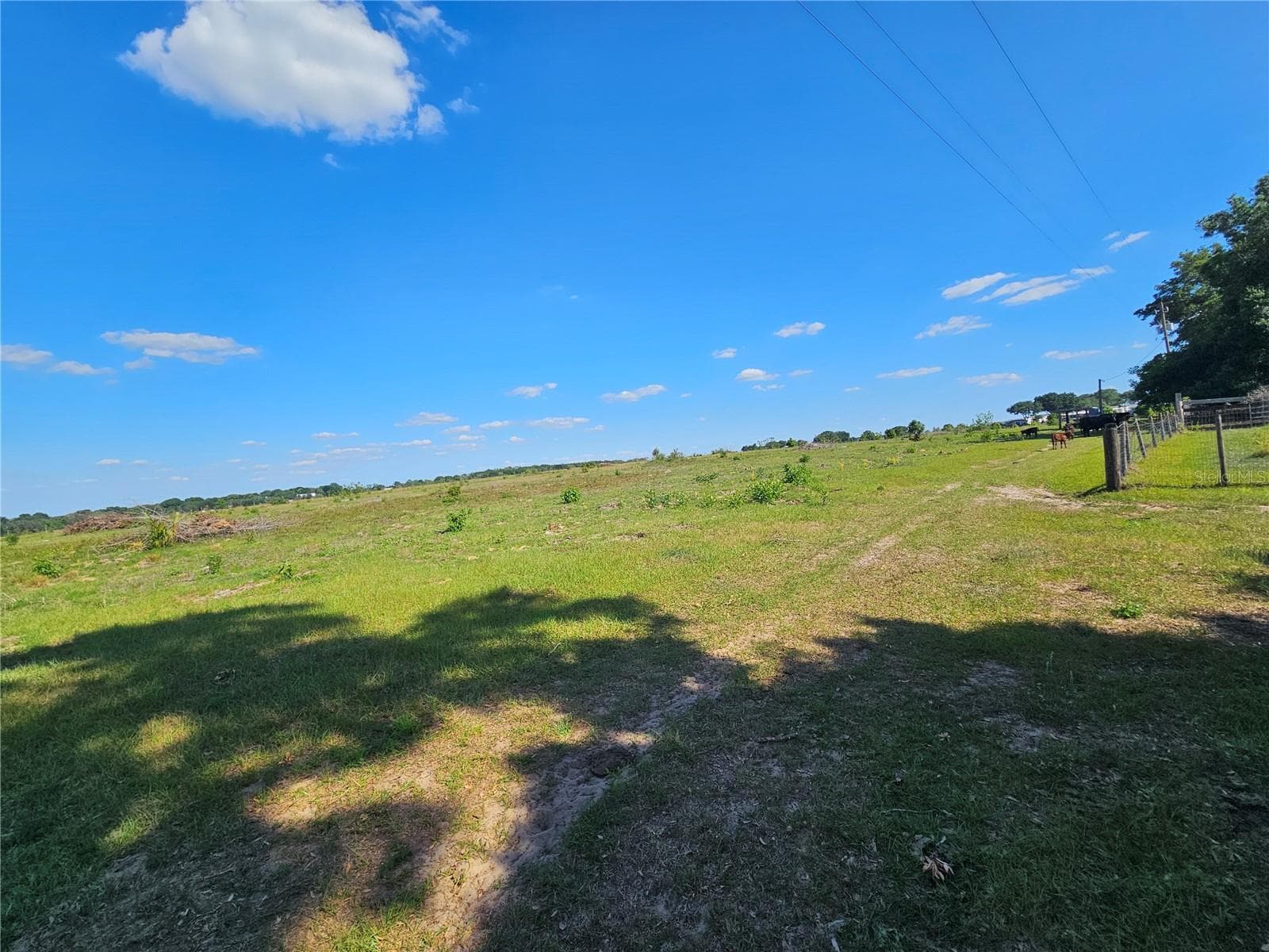 Land at 38646 CLINTON AVE, DADE CITY, photo 9 of 18