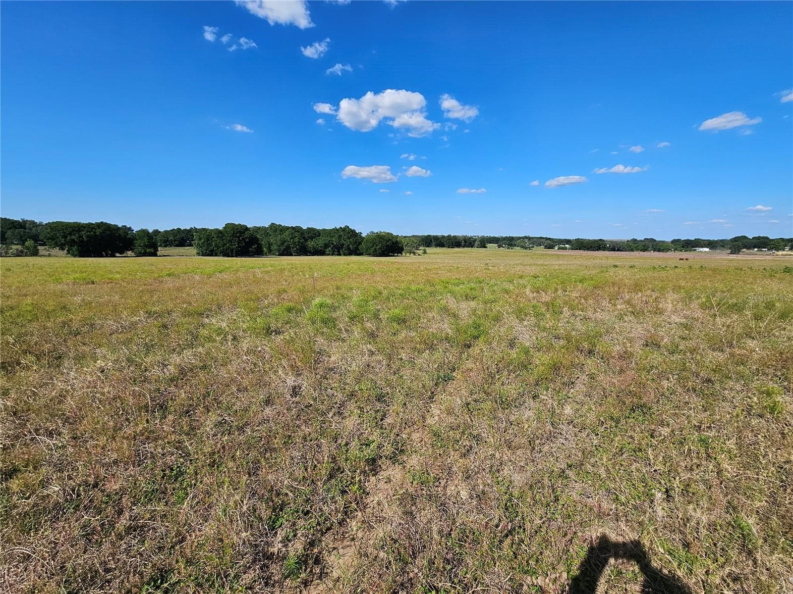Land at 38646 CLINTON AVE, DADE CITY, photo 15 of 18