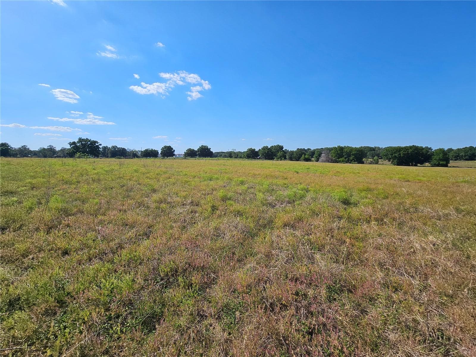 Land at 38646 CLINTON AVE, DADE CITY, photo 16 of 18