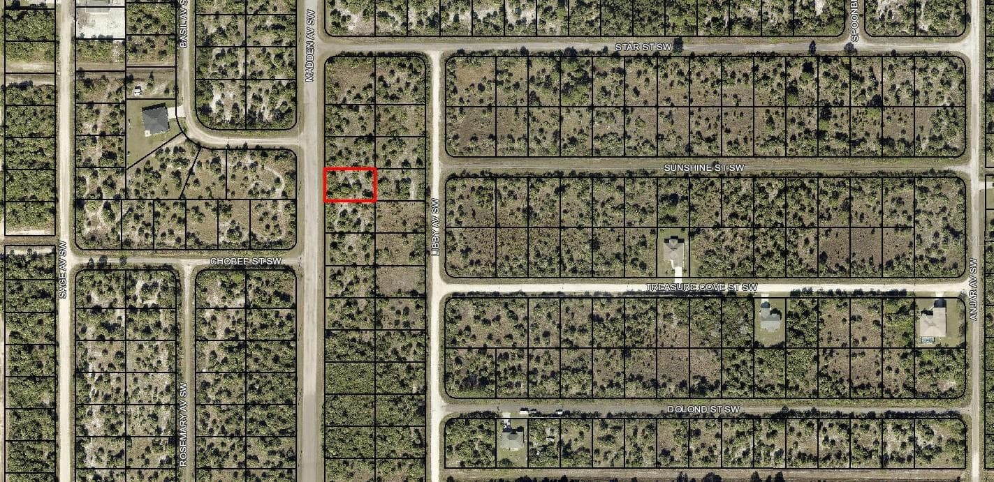 2919 MADDEN AVE SW