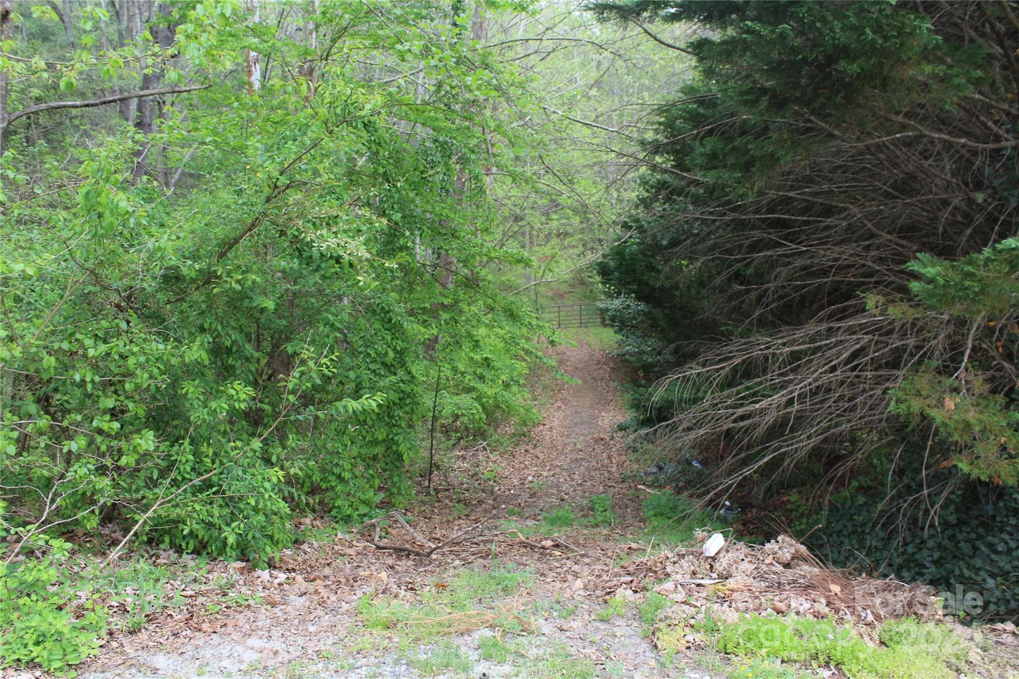 Entrance into woods down toward property - 350 Sycamore Avenue NW, Valdese