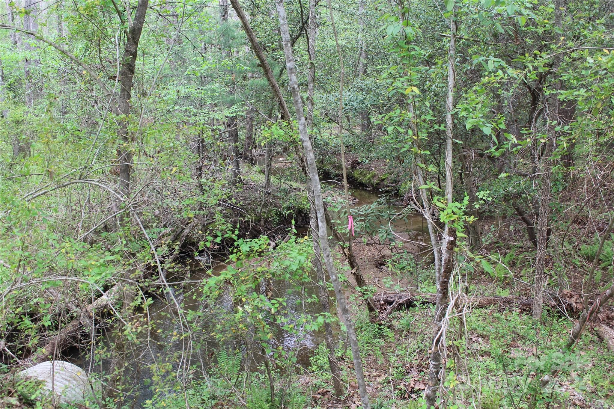 Stream/Creek - 350 Sycamore Avenue NW, Valdese