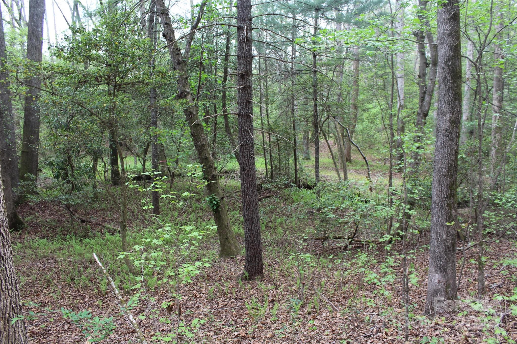 Acreage at 350 Sycamore Avenue NW, Valdese, photo 8 of 15