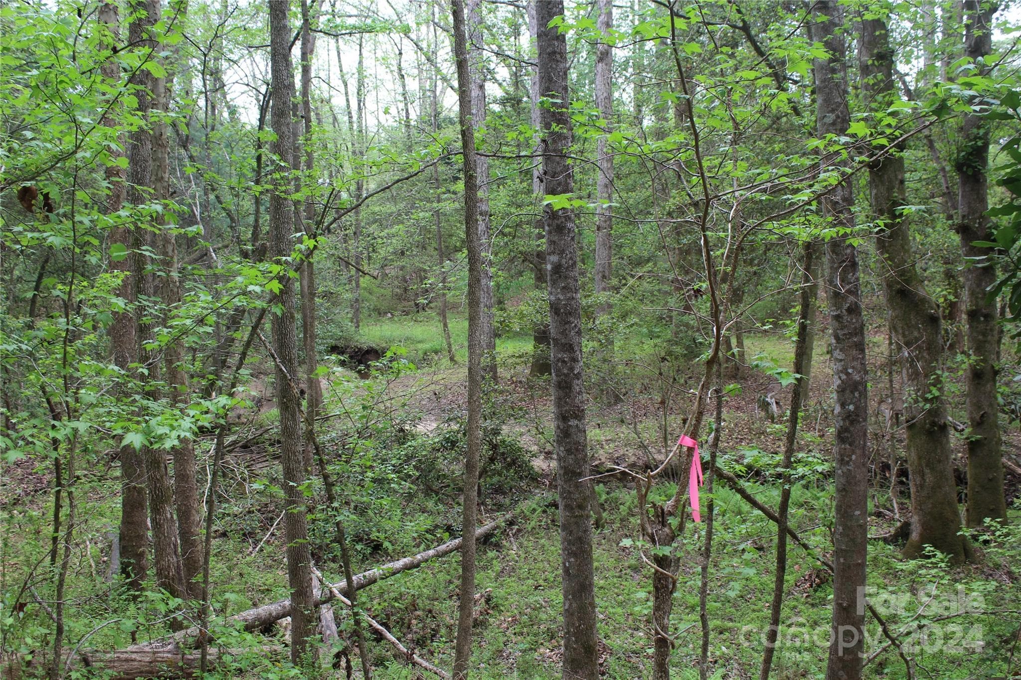 Acreage at 350 Sycamore Avenue NW, Valdese, photo 9 of 15
