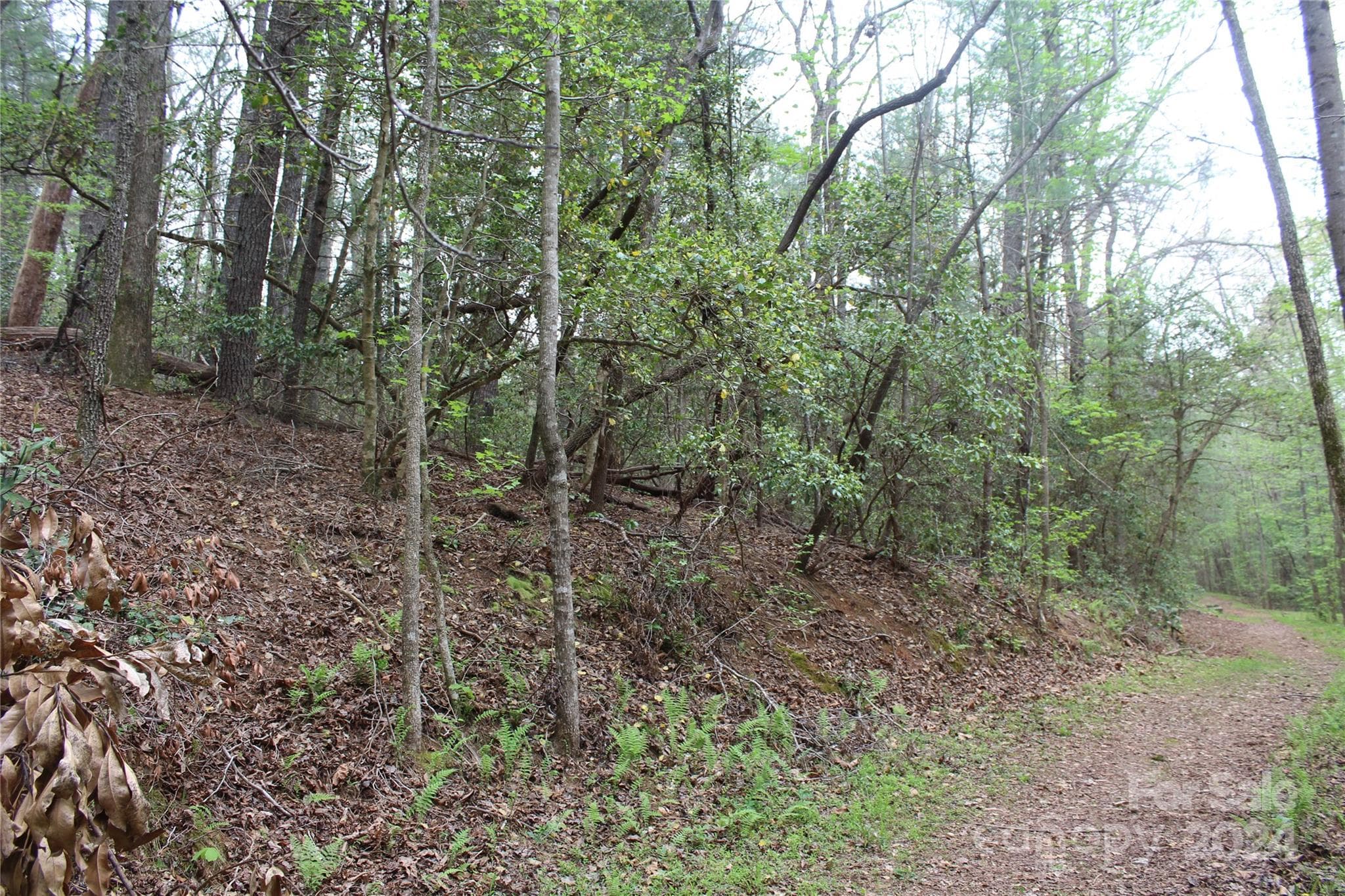 Acreage at 350 Sycamore Avenue NW, Valdese, photo 10 of 15