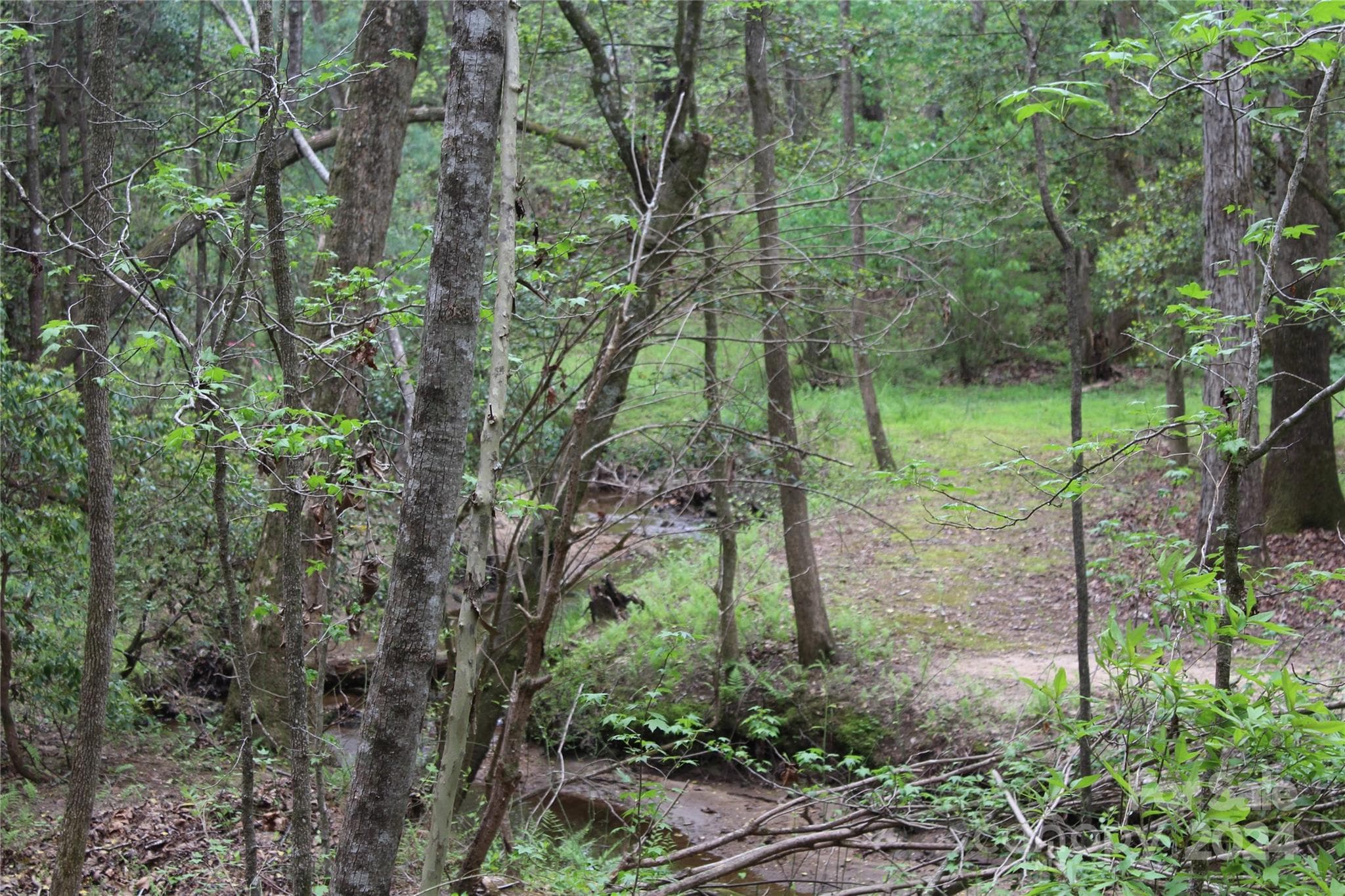 Tract 6 Stream/Creek - 350 Sycamore Avenue NW, Valdese