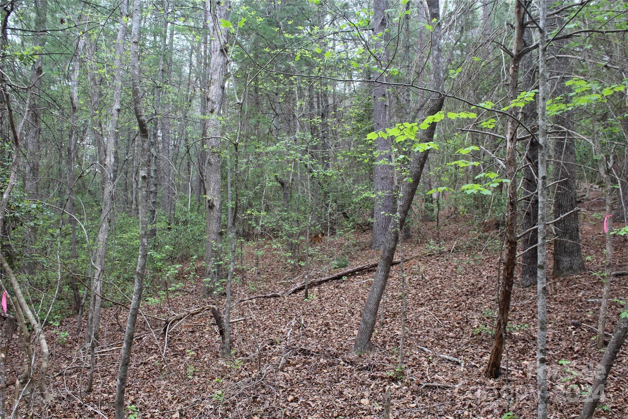 Acreage at 350 Sycamore Avenue NW, Valdese, photo 12 of 15