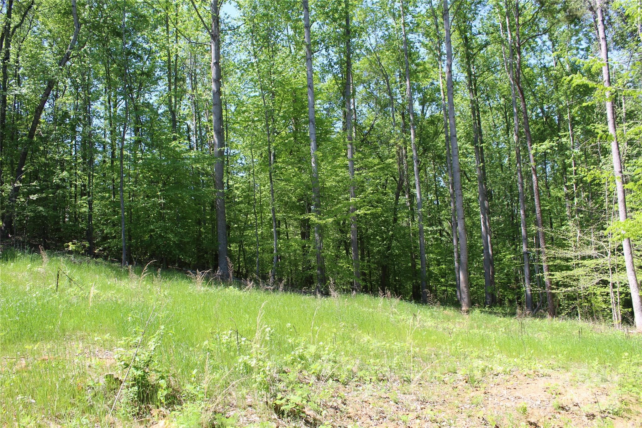 Lot at 0000 Davis Circle, Clover, photo 6 of 13