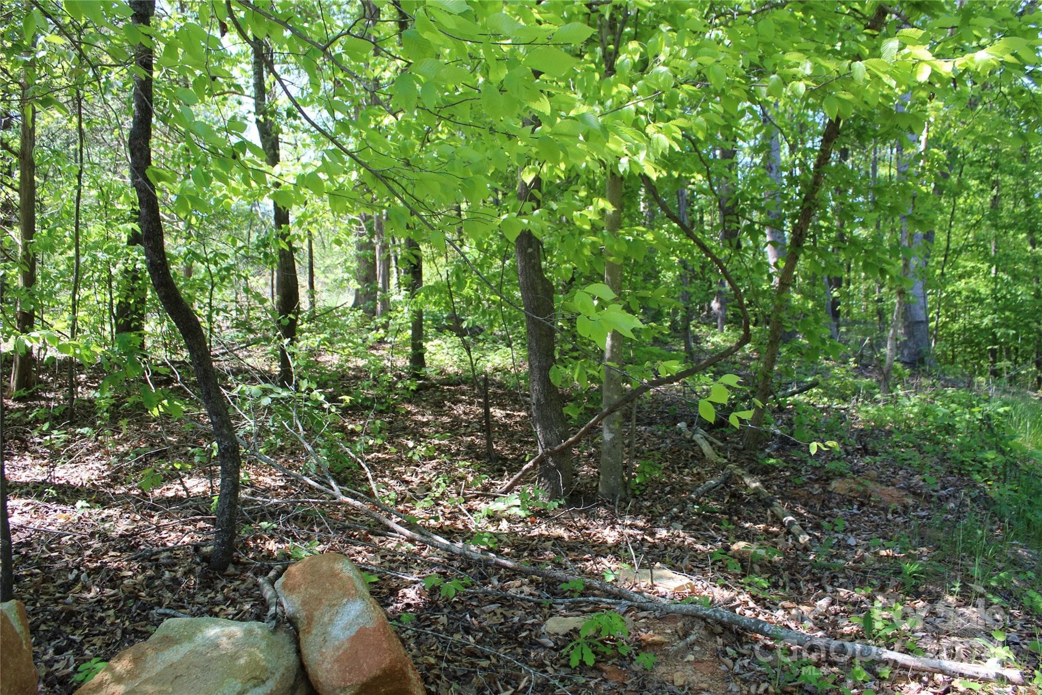 Lot at 0000 Davis Circle, Clover, photo 7 of 13