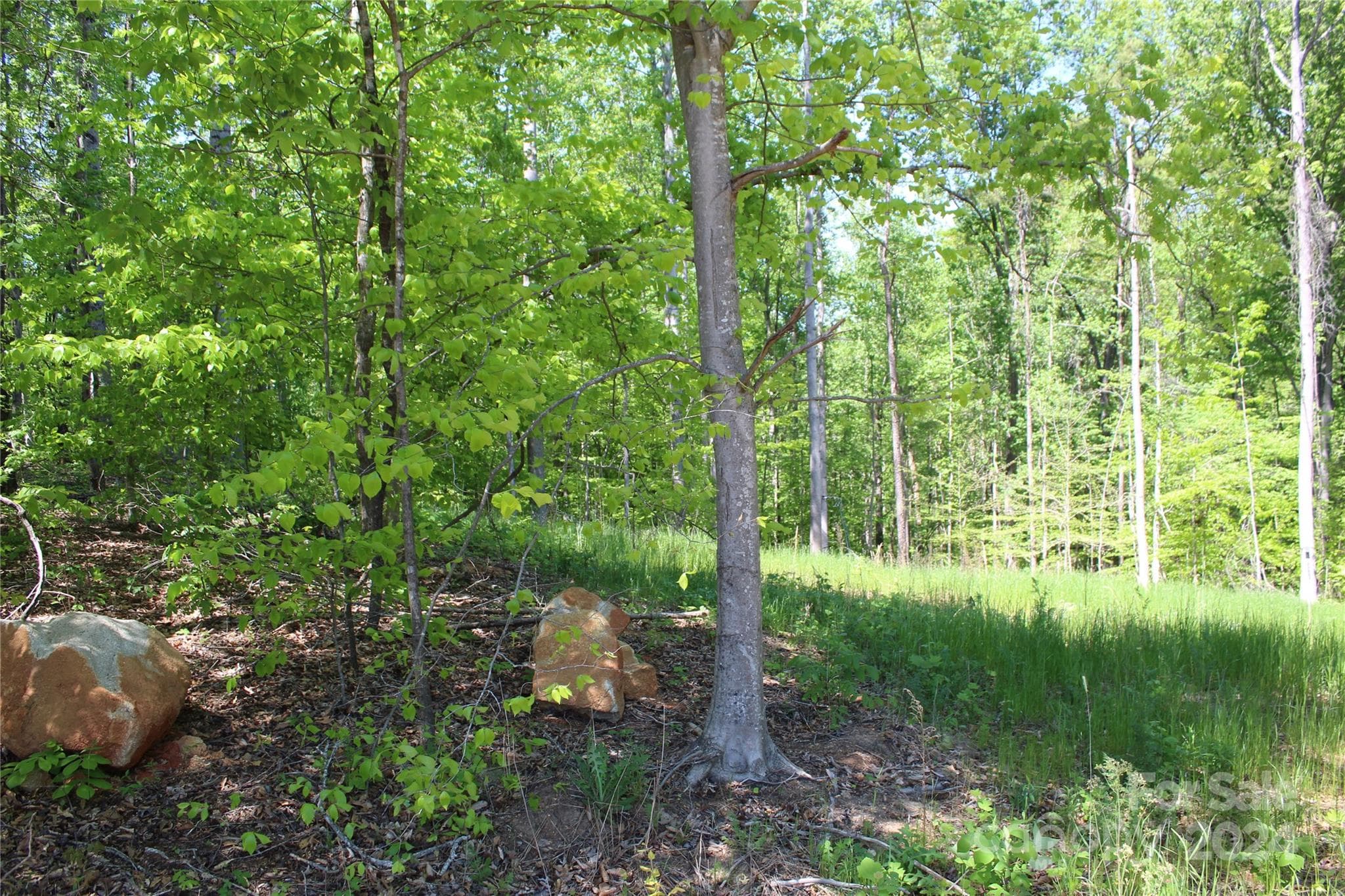 Lot at 0000 Davis Circle, Clover, photo 9 of 13