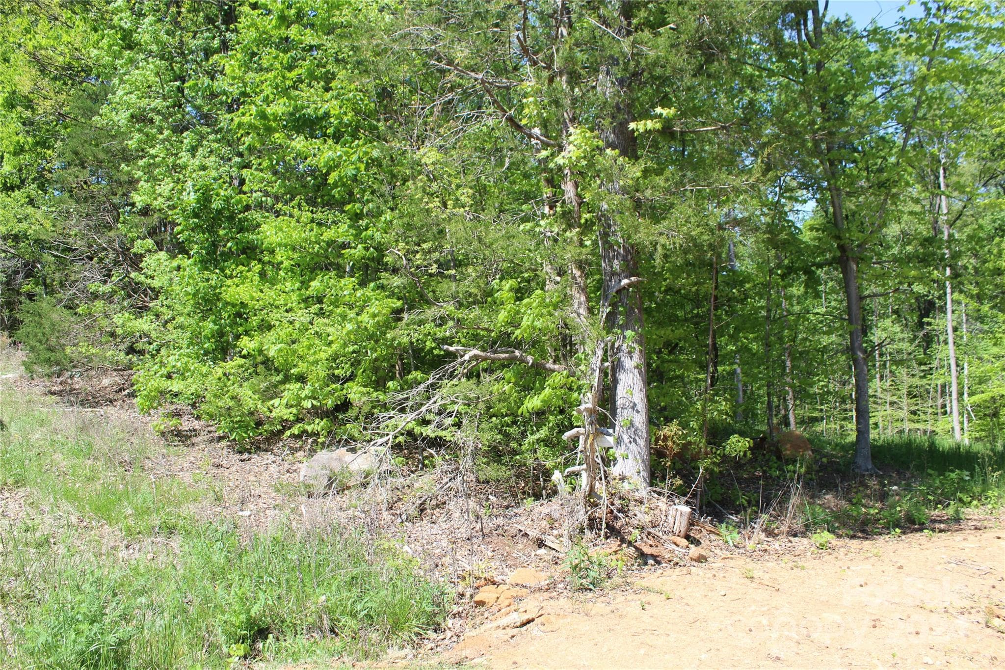 Lot at 0000 Davis Circle, Clover, photo 10 of 13