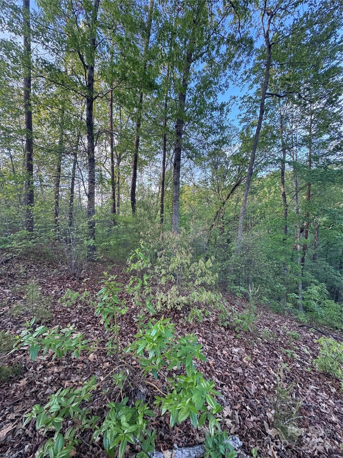 Lot at Lake Lure, photo 2 of 11