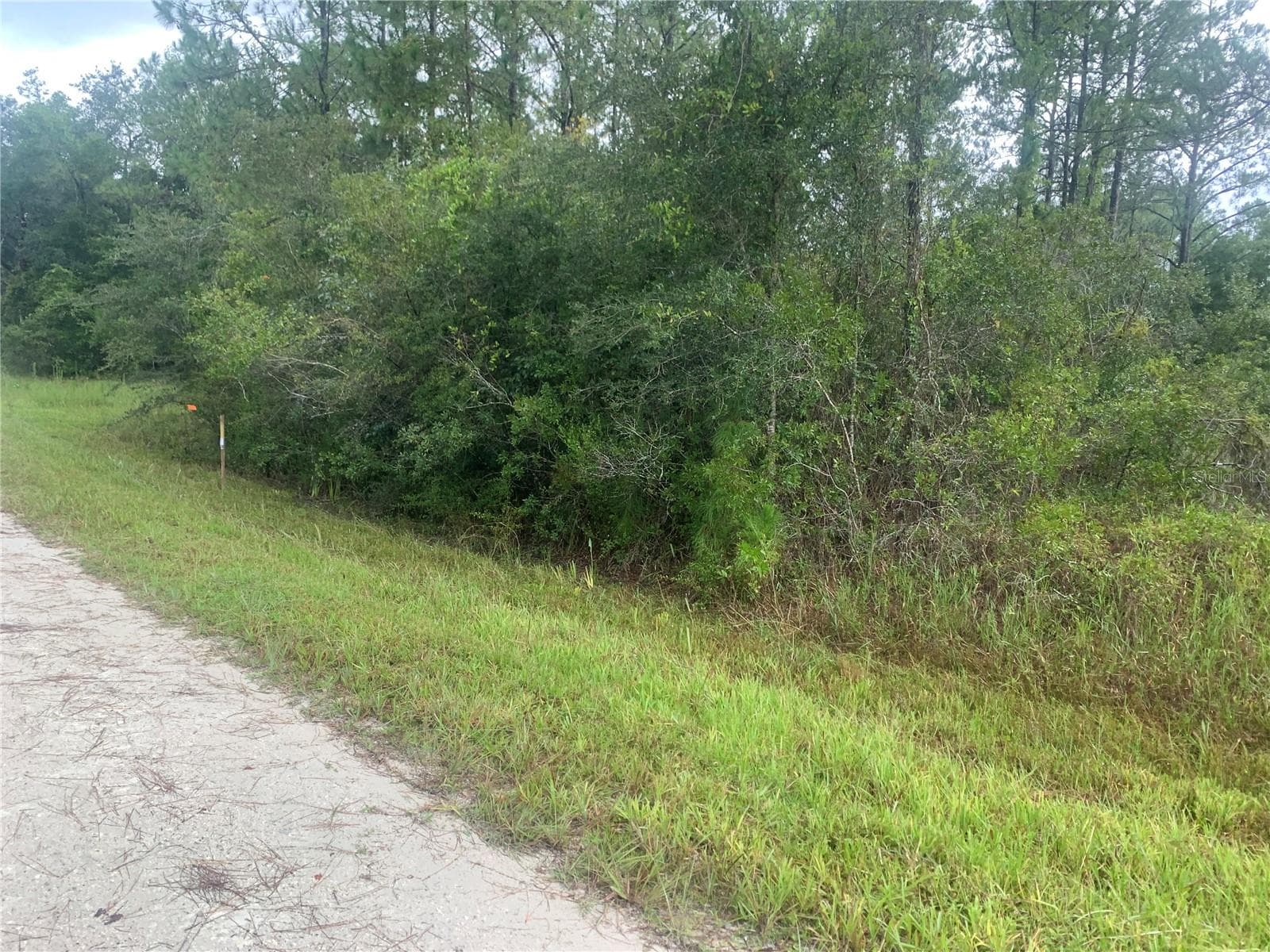 Front of Lot - TBD OTTER DR #LOT 44, WEBSTER