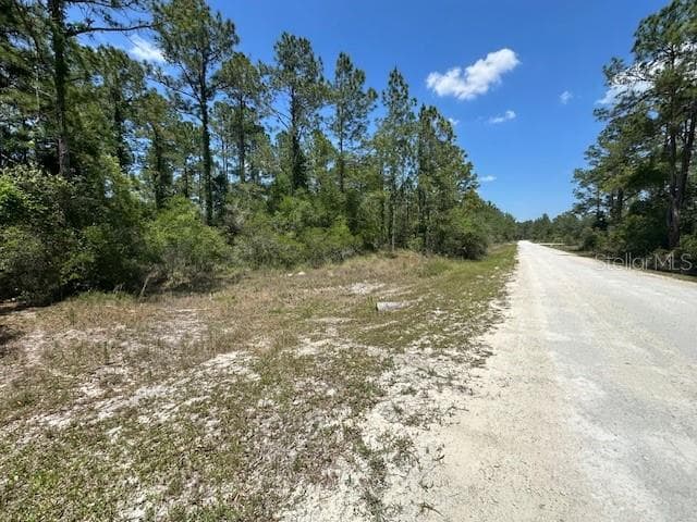 looking East on Otter - TBD OTTER DR #LOT 44, WEBSTER