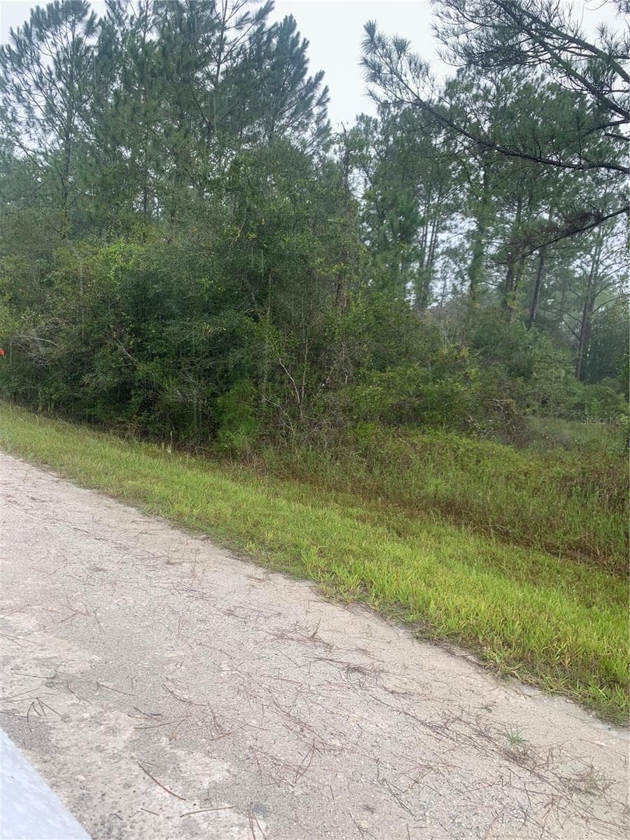Wooded Lot - TBD OTTER DR #LOT 44, WEBSTER