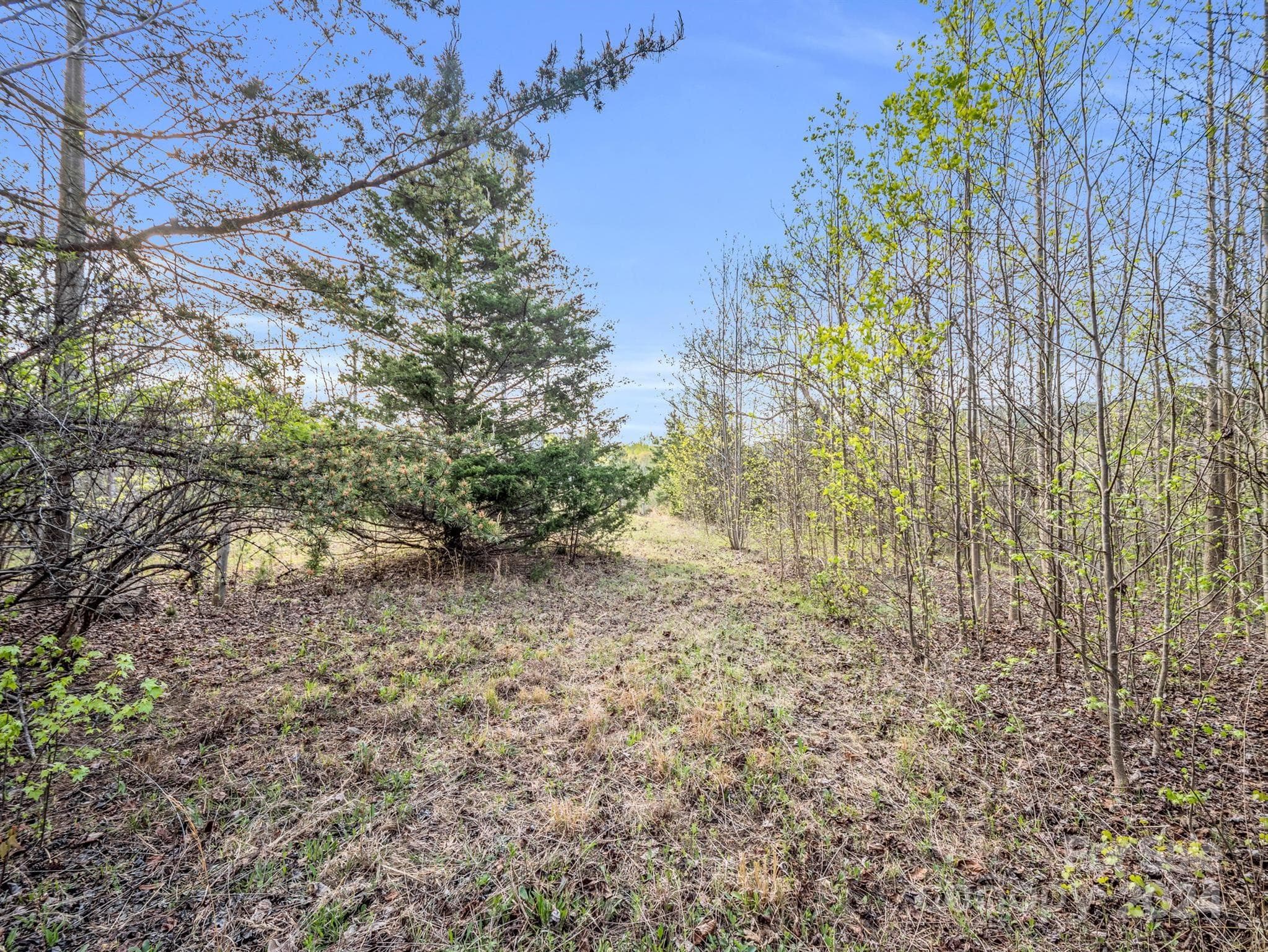 Lot at 00 Equestrian Drive, Bostic, photo 5 of 29