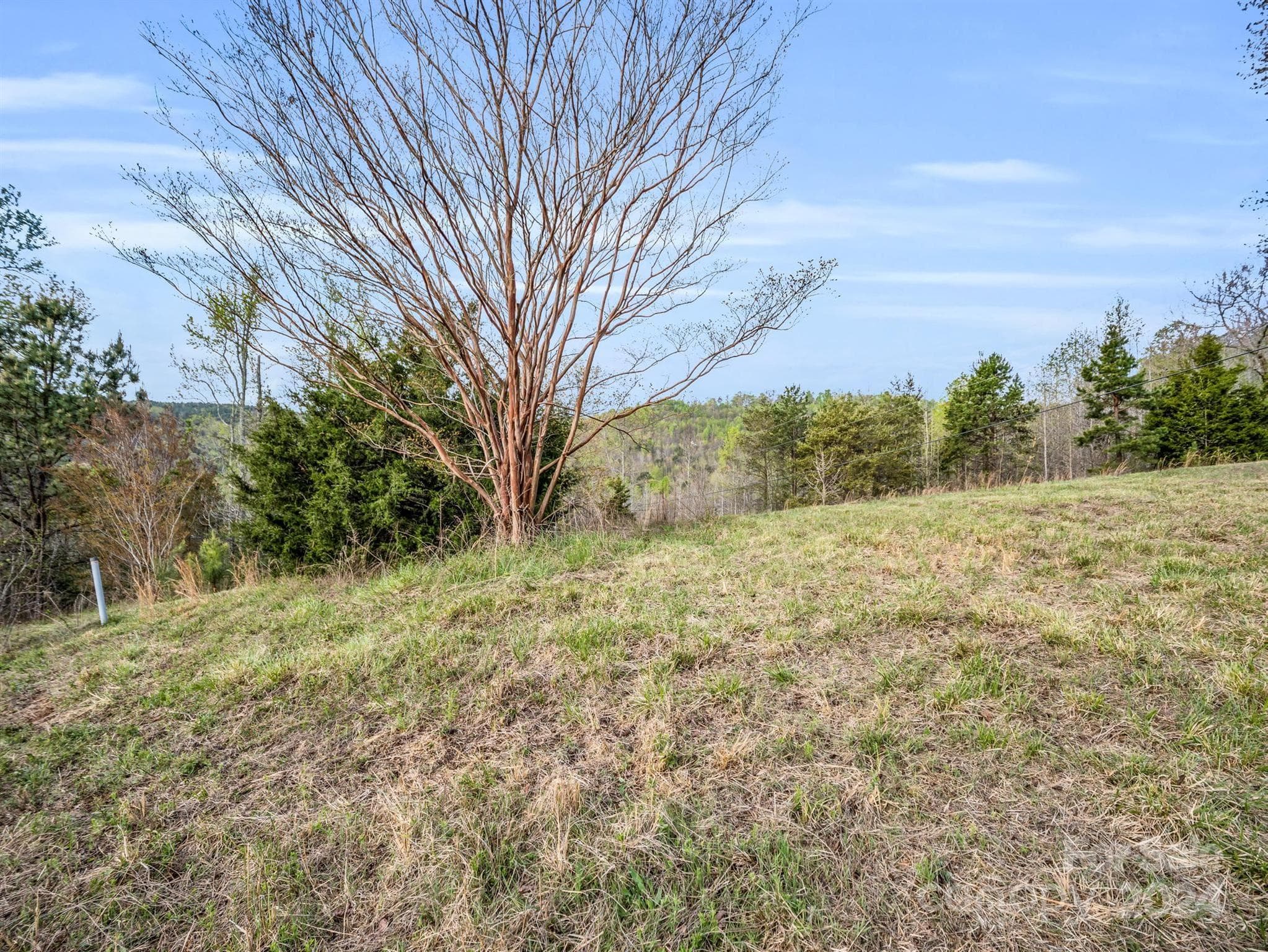 Lot at 00 Equestrian Drive, Bostic, photo 7 of 29