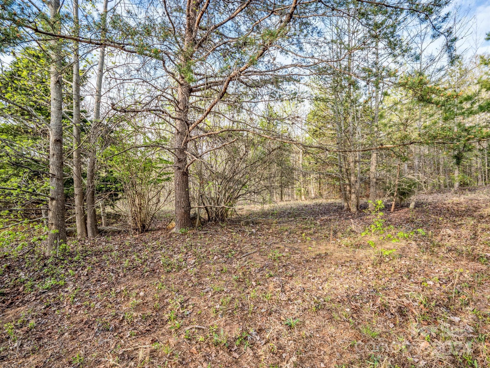 Lot at 00 Equestrian Drive, Bostic, photo 8 of 29