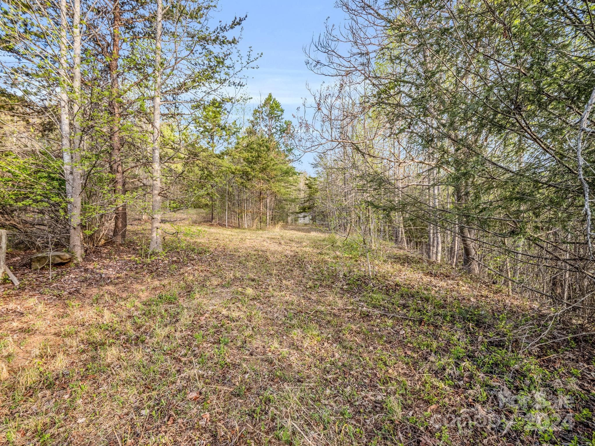Lot at 00 Equestrian Drive, Bostic, photo 9 of 29