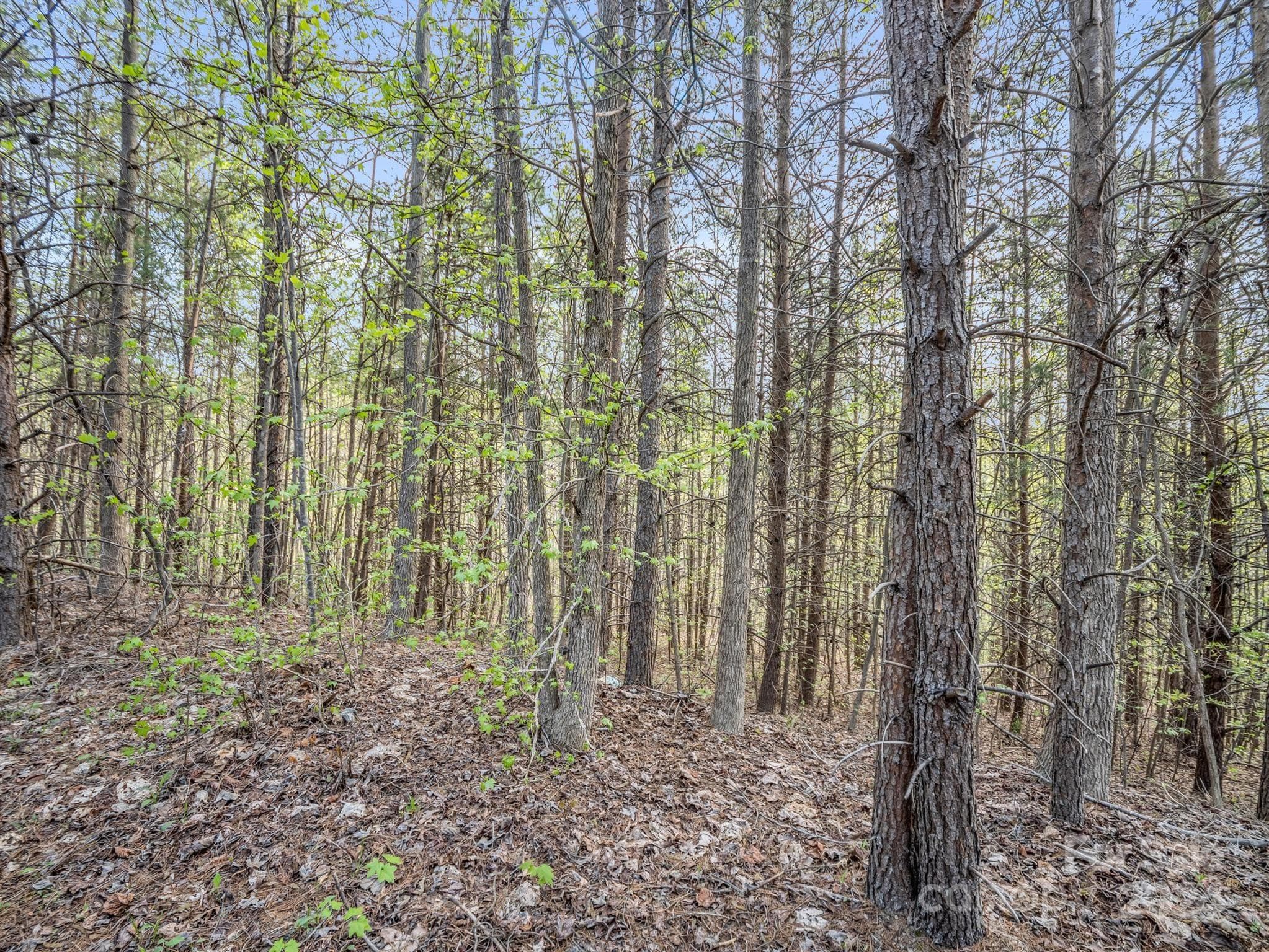 Lot at 00 Equestrian Drive, Bostic, photo 11 of 29