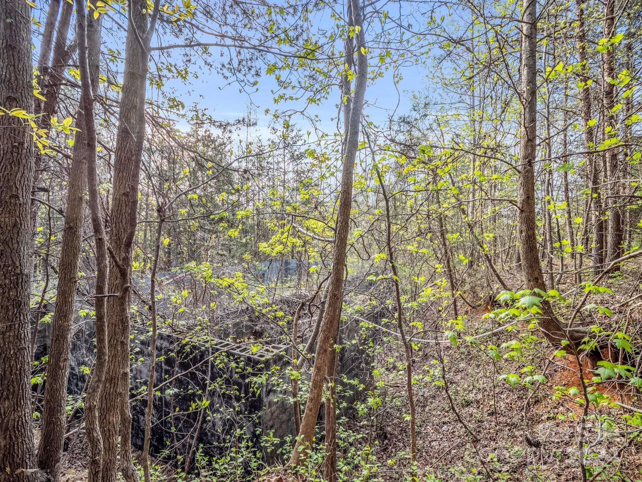 Lot at 00 Equestrian Drive, Bostic, photo 15 of 29