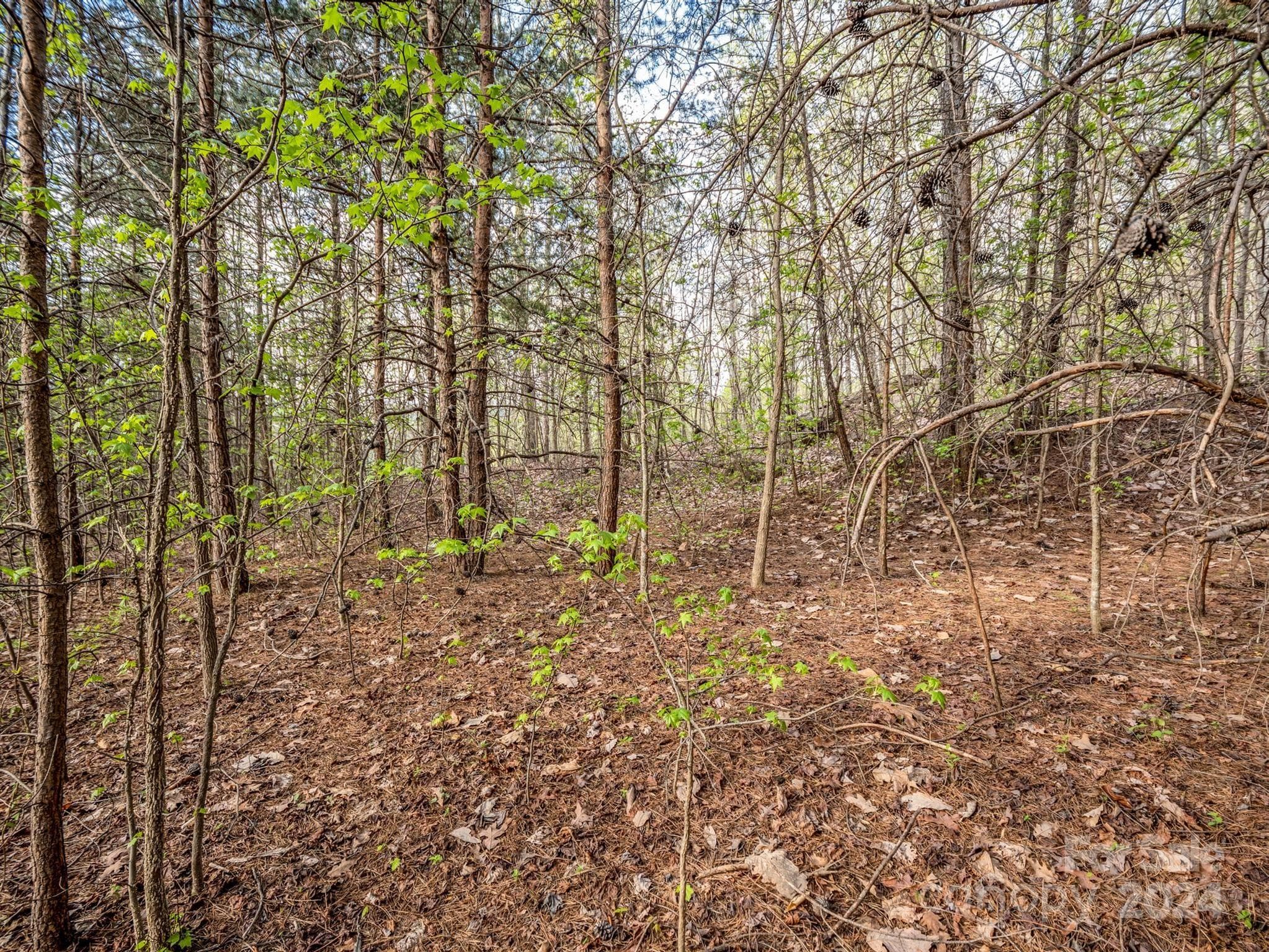 Lot at 00 Equestrian Drive, Bostic, photo 16 of 29