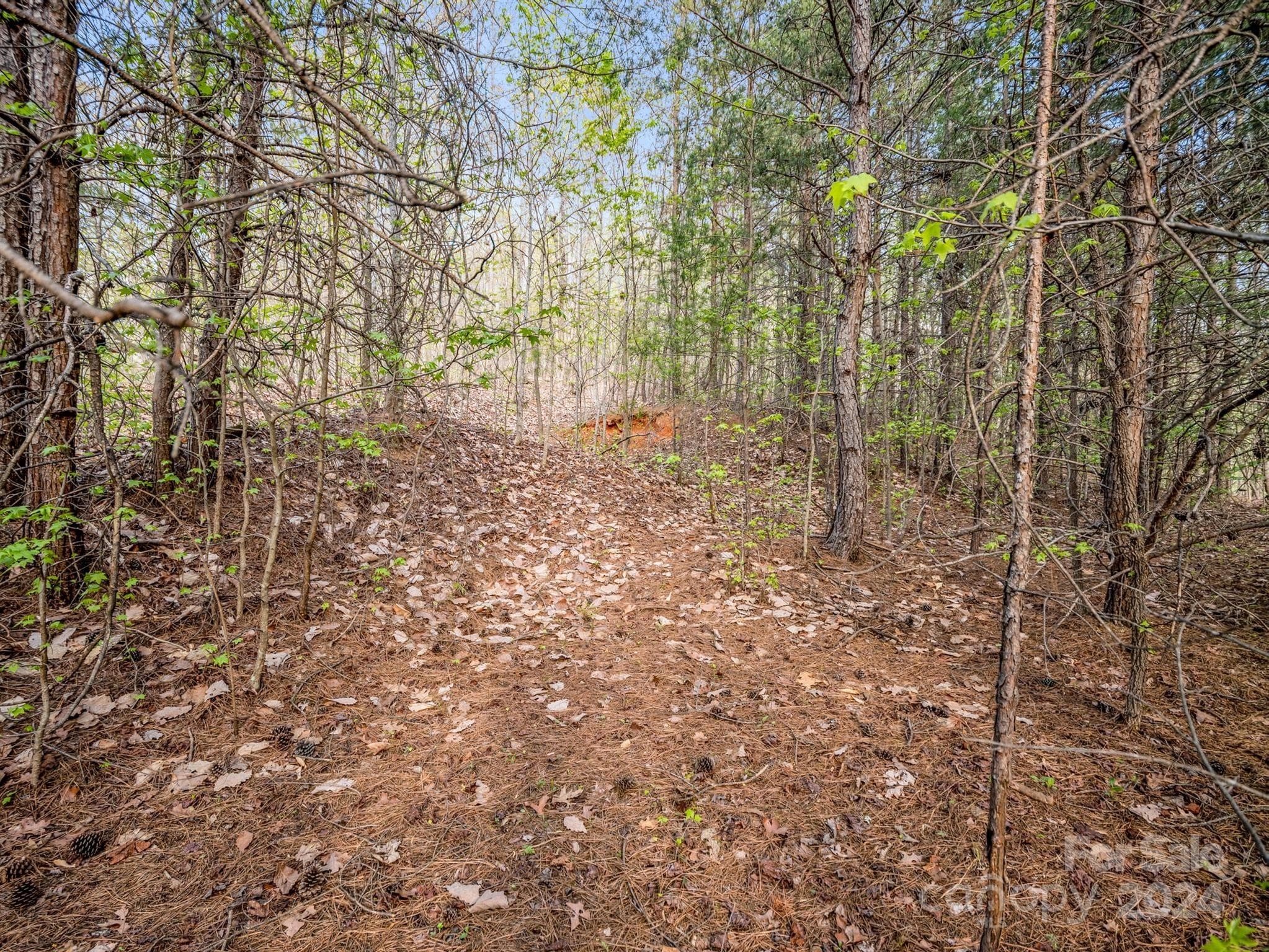 Lot at 00 Equestrian Drive, Bostic, photo 17 of 29