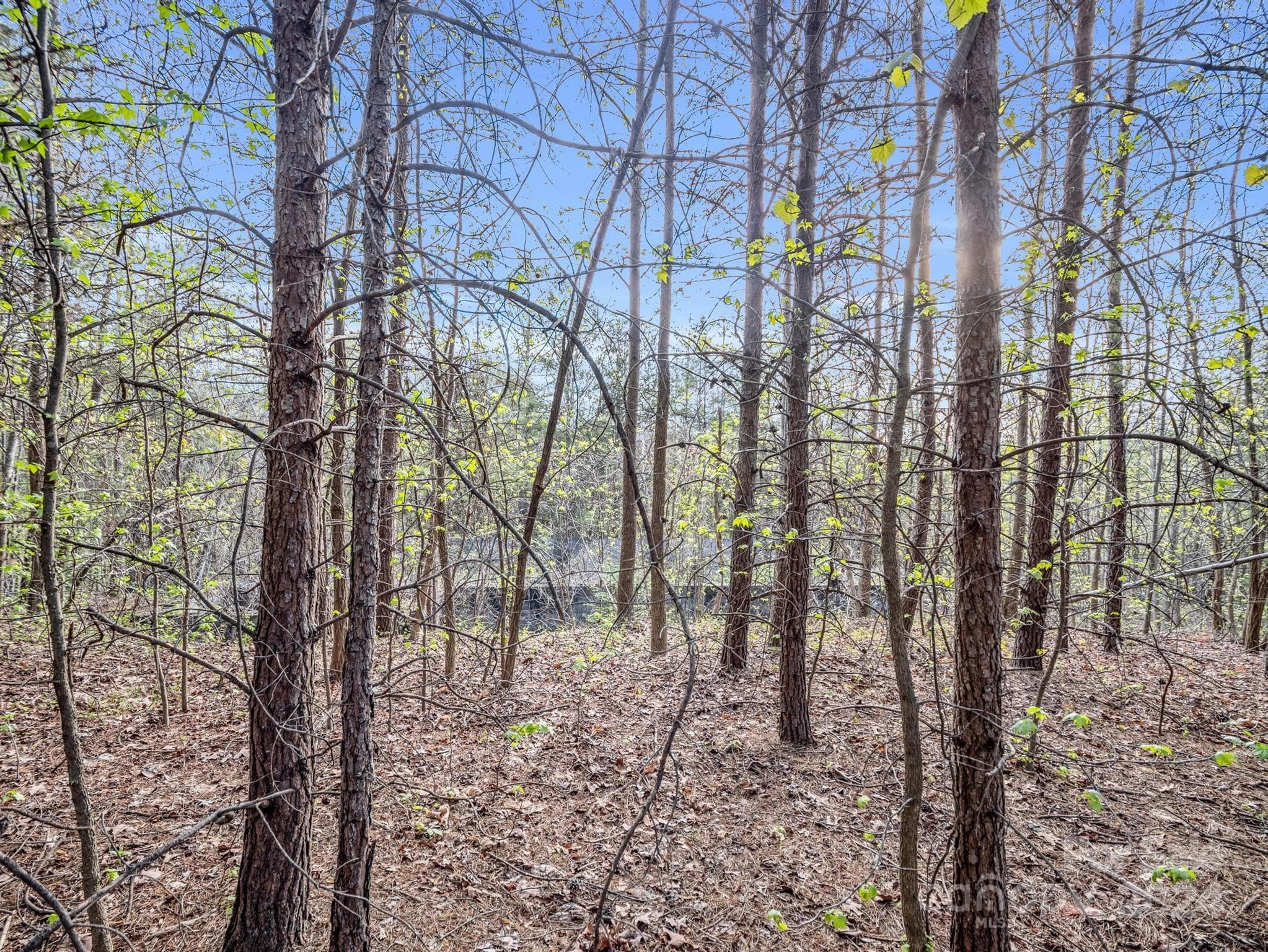 Lot at 00 Equestrian Drive, Bostic, photo 18 of 29