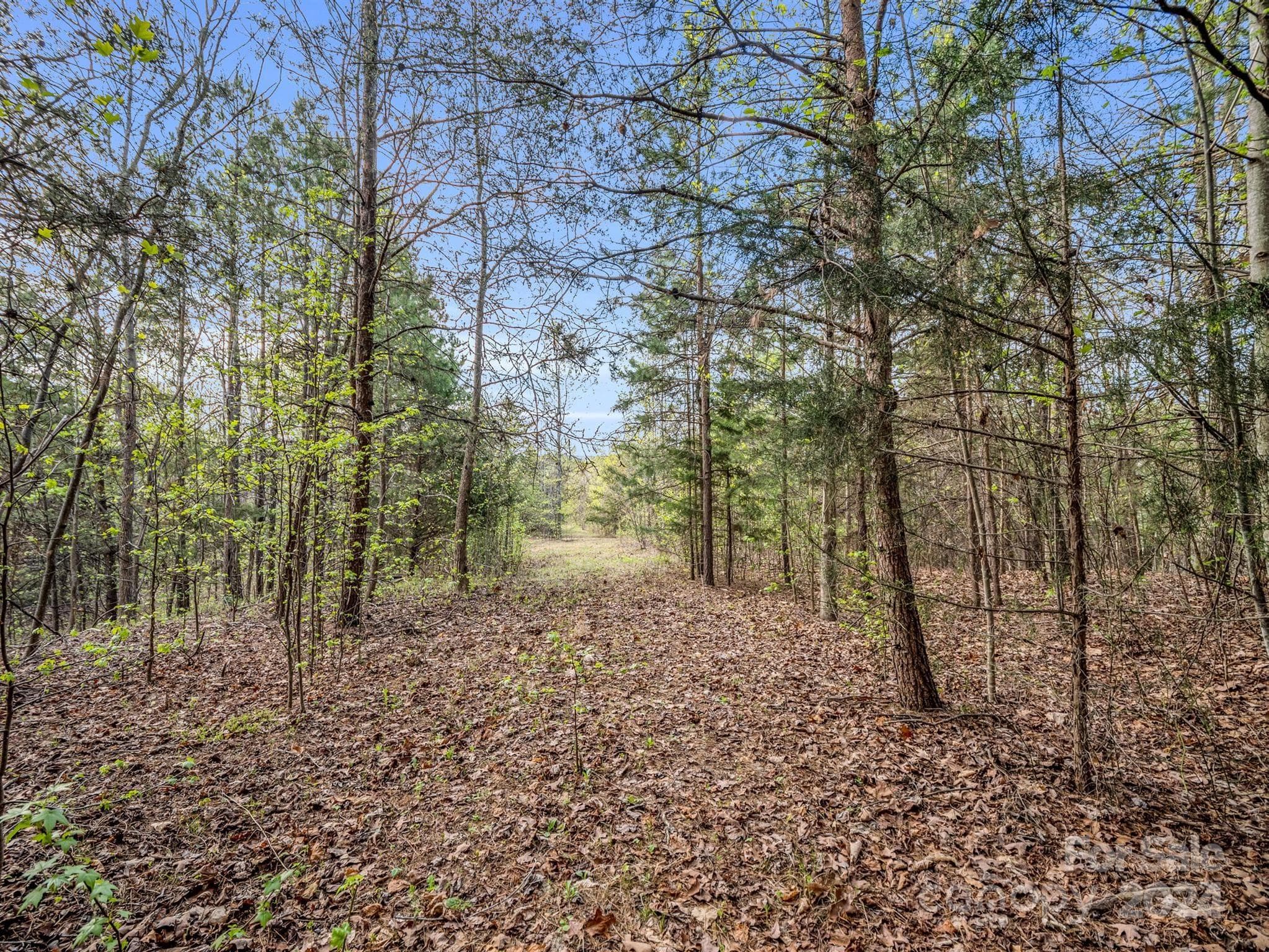 Lot at 00 Equestrian Drive, Bostic, photo 19 of 29