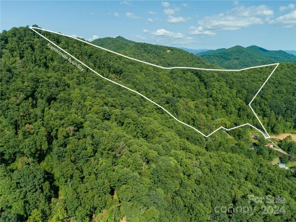Acreage at 58 Grooms Road, Candler, photo 2 of 12