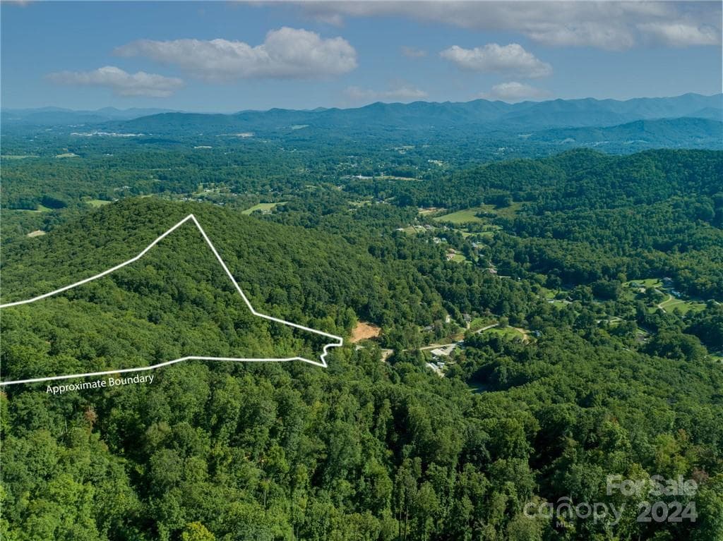 Acreage at 58 Grooms Road, Candler, photo 5 of 12
