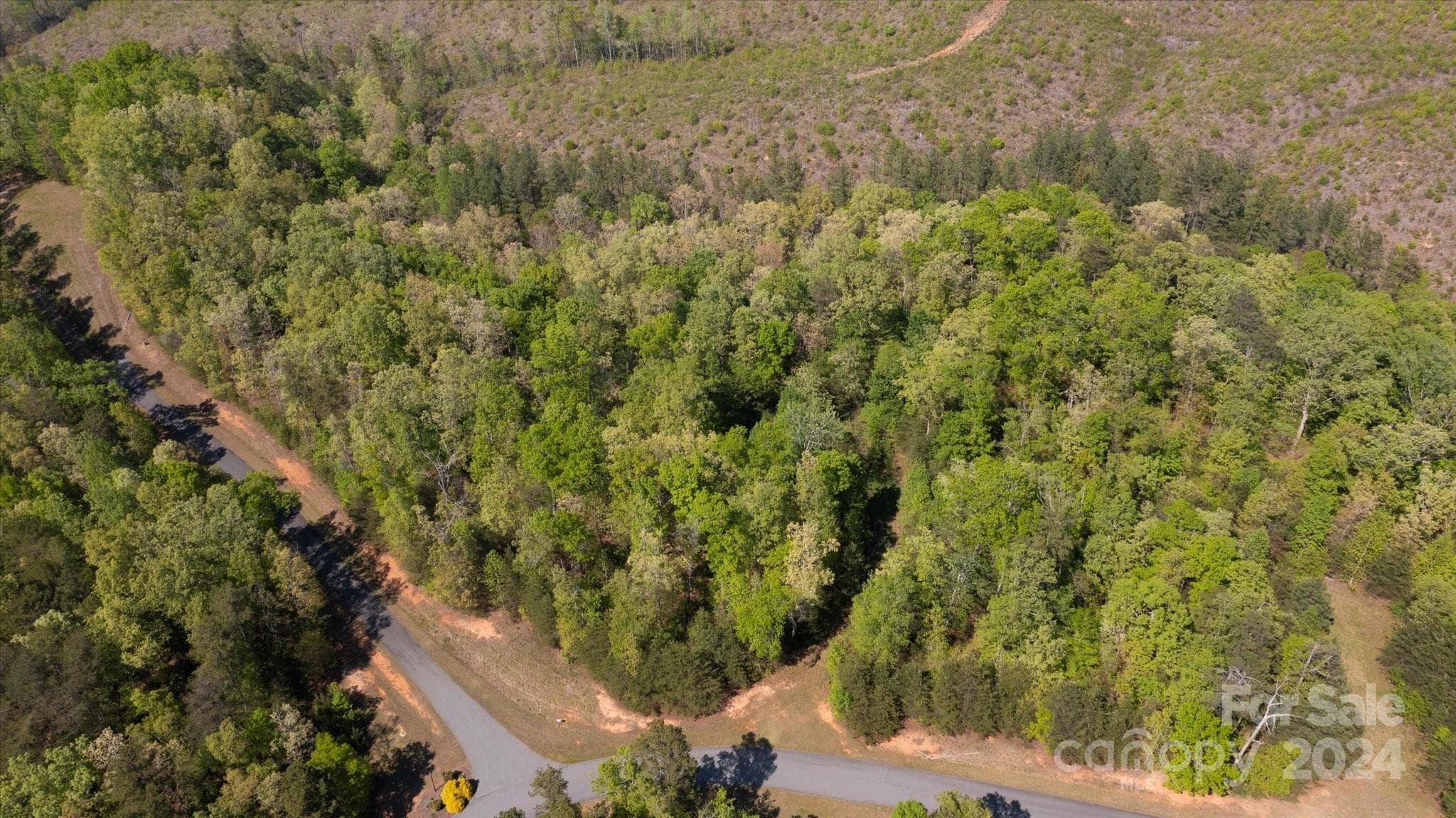 Lot at 99999 Shady Bark Lane, Rutherfordton, photo 26 of 32
