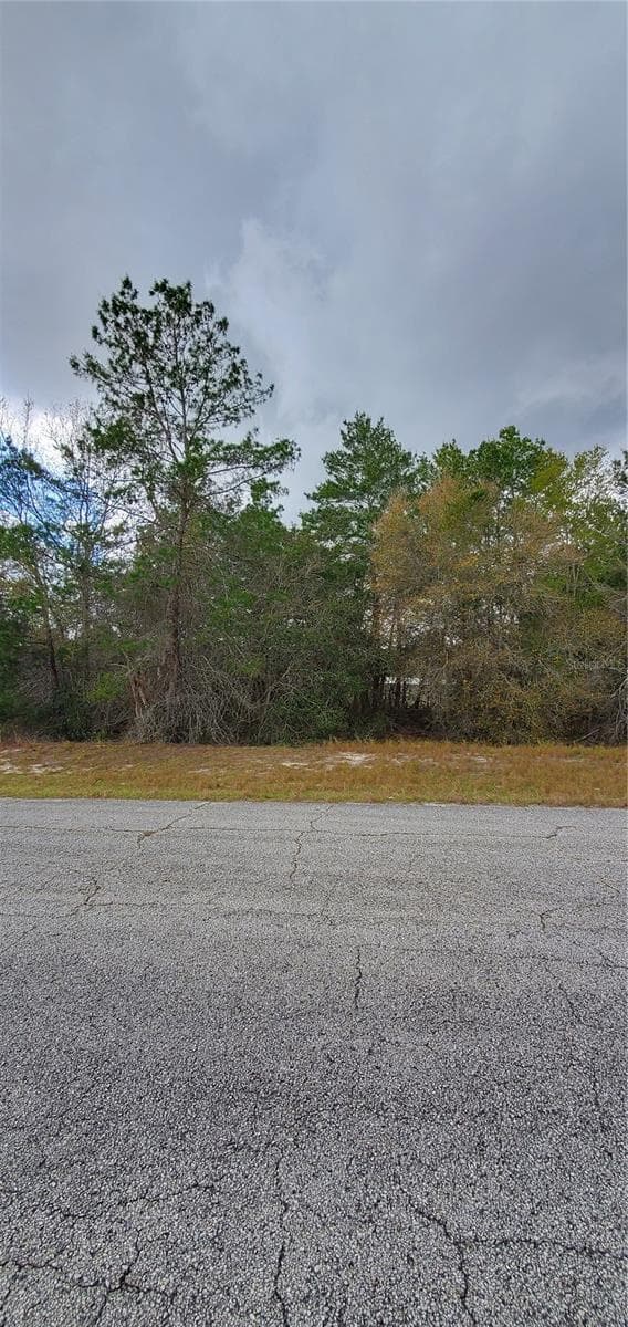 1428 HILLSBOROUGH DR