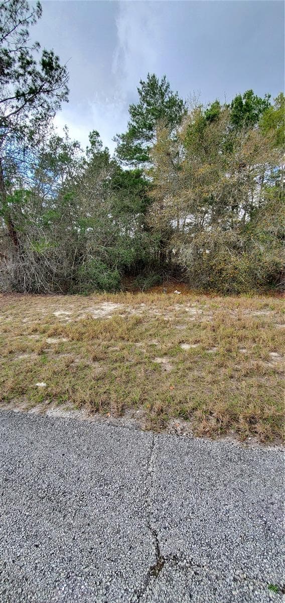 Land at 1428 HILLSBOROUGH DR, POINCIANA, photo 2 of 6